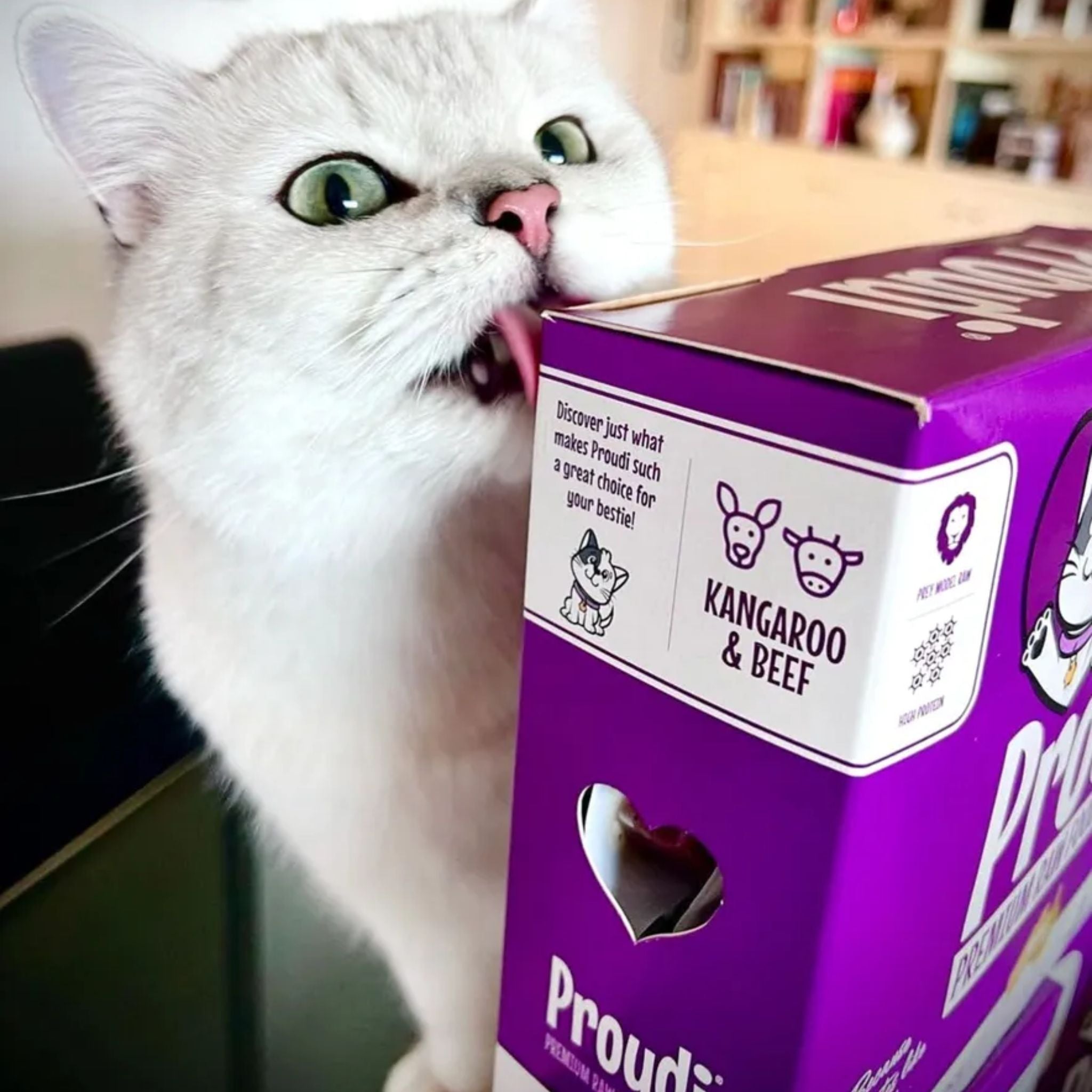 Proudi Kangaroo and Beef Raw Patties for Cats