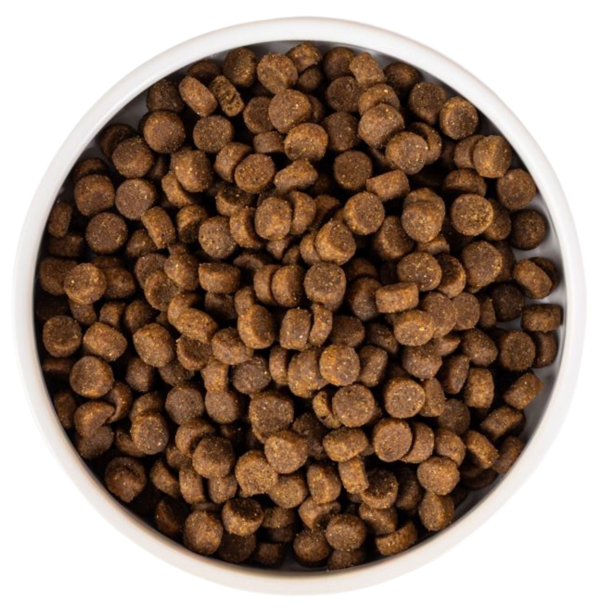 SavourLife Care Plus Adult Indoor & Hairball Control Chicken Dry Cat Food