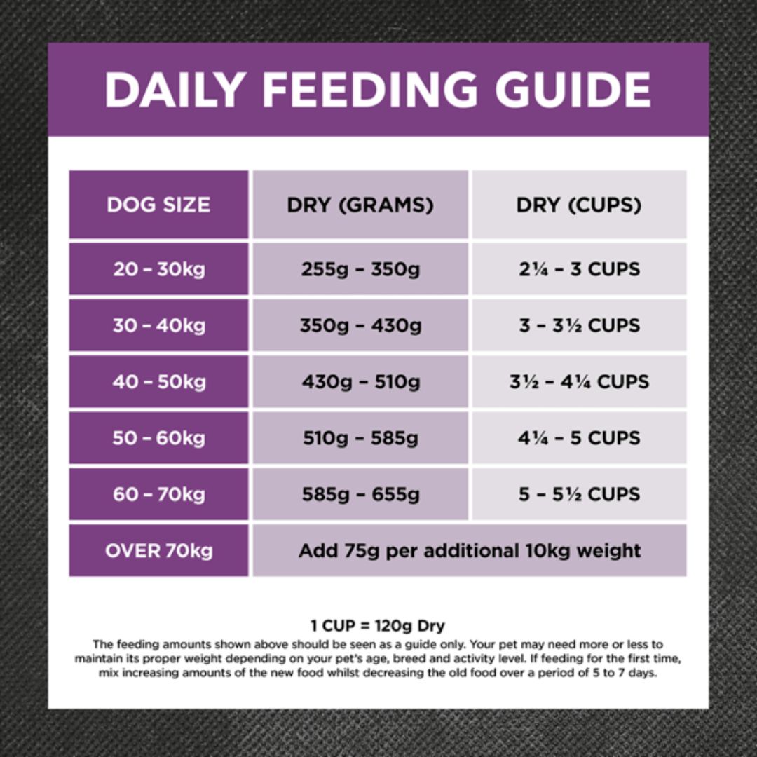 Ivory Coat Holistic Nutrition Puppy Large Breed Dry Dog Food Turkey & Brown Rice