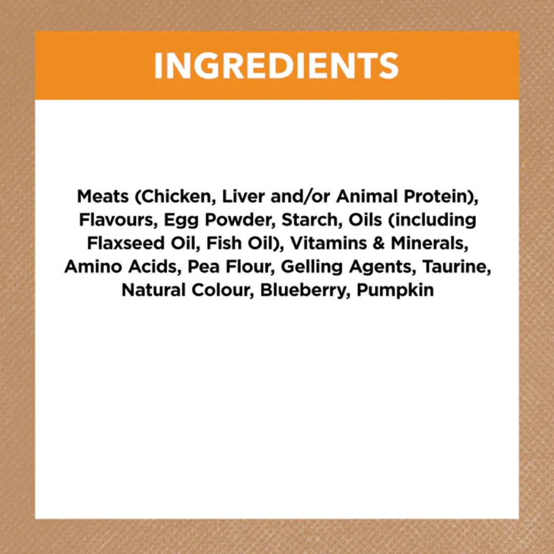 Ivory Coat Grain Free Adult Wet Cat Food Chicken in Gravy