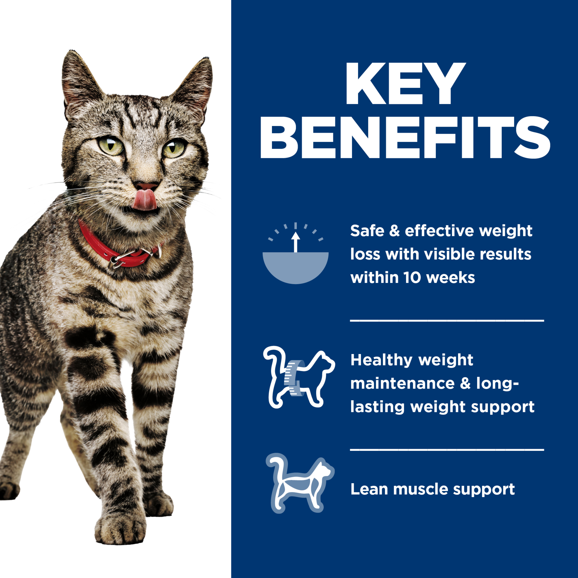Hill's Science Diet Adult Perfect Weight Variety Pack Wet Cat Food product detail 3