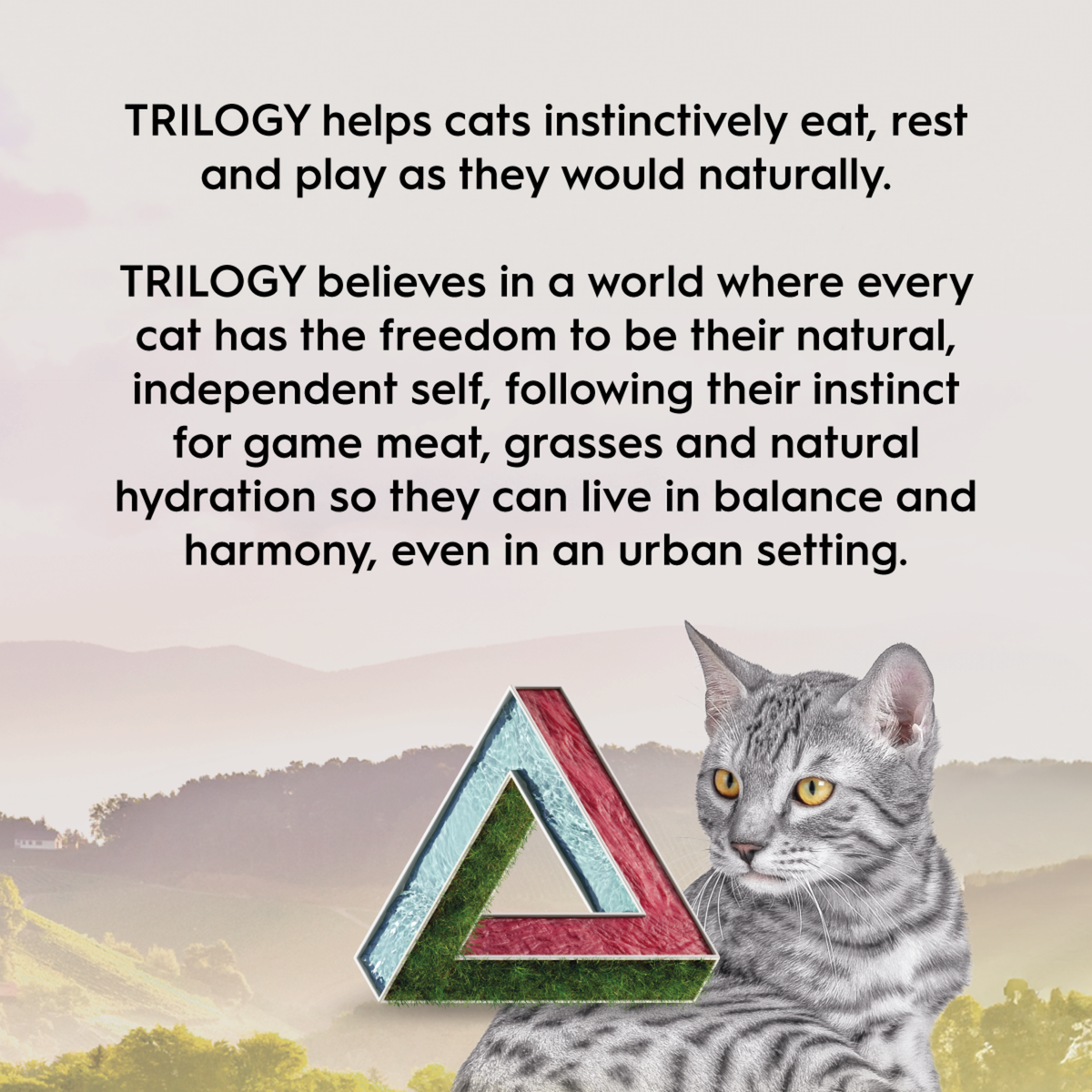 Trilogy brand statement over a tabby cat sitting in grassland