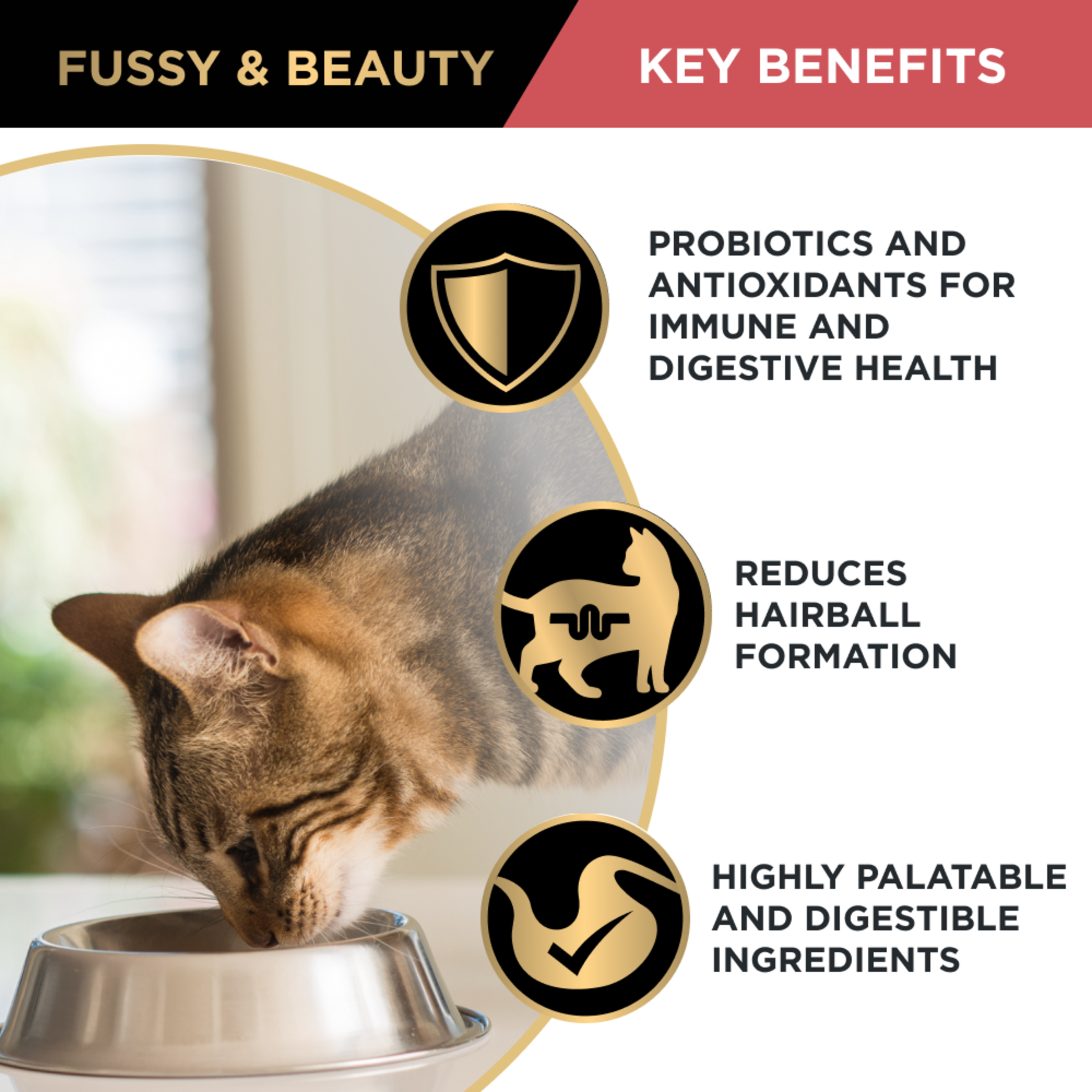 PRO PLAN Fussy & Beauty key benefits panel with a cat at a bowl: probiotics, hairballs, palatability