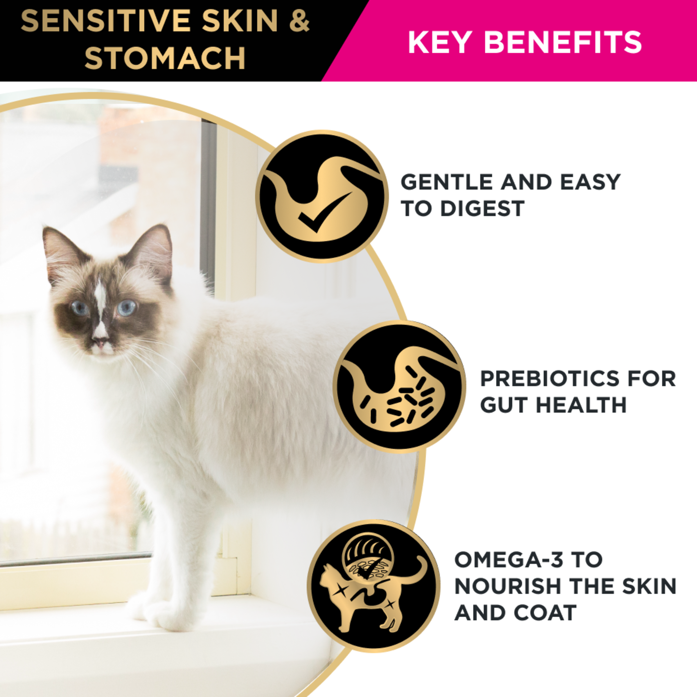 PRO PLAN Sensitive Skin & Stomach key benefits panel with a cat: digestion, prebiotics, omega-3