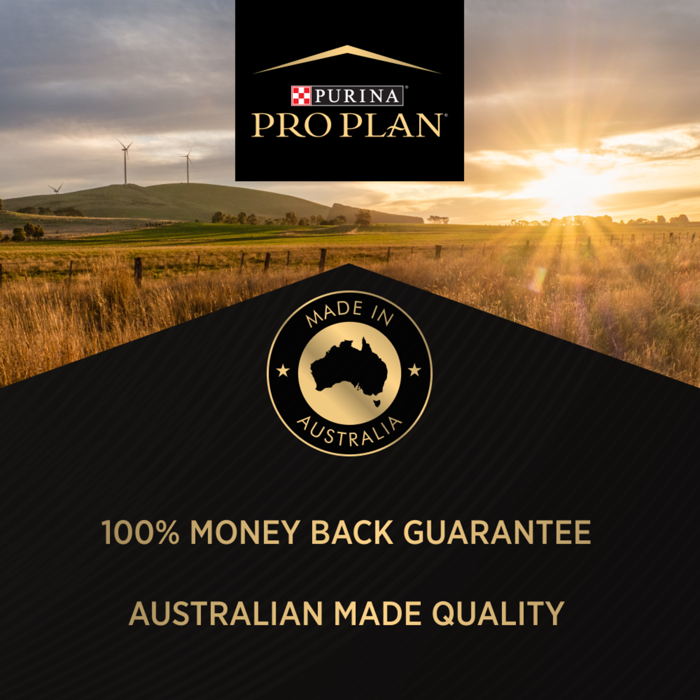 PRO PLAN Kitten Chicken Formula Dry Cat Food product detail 5