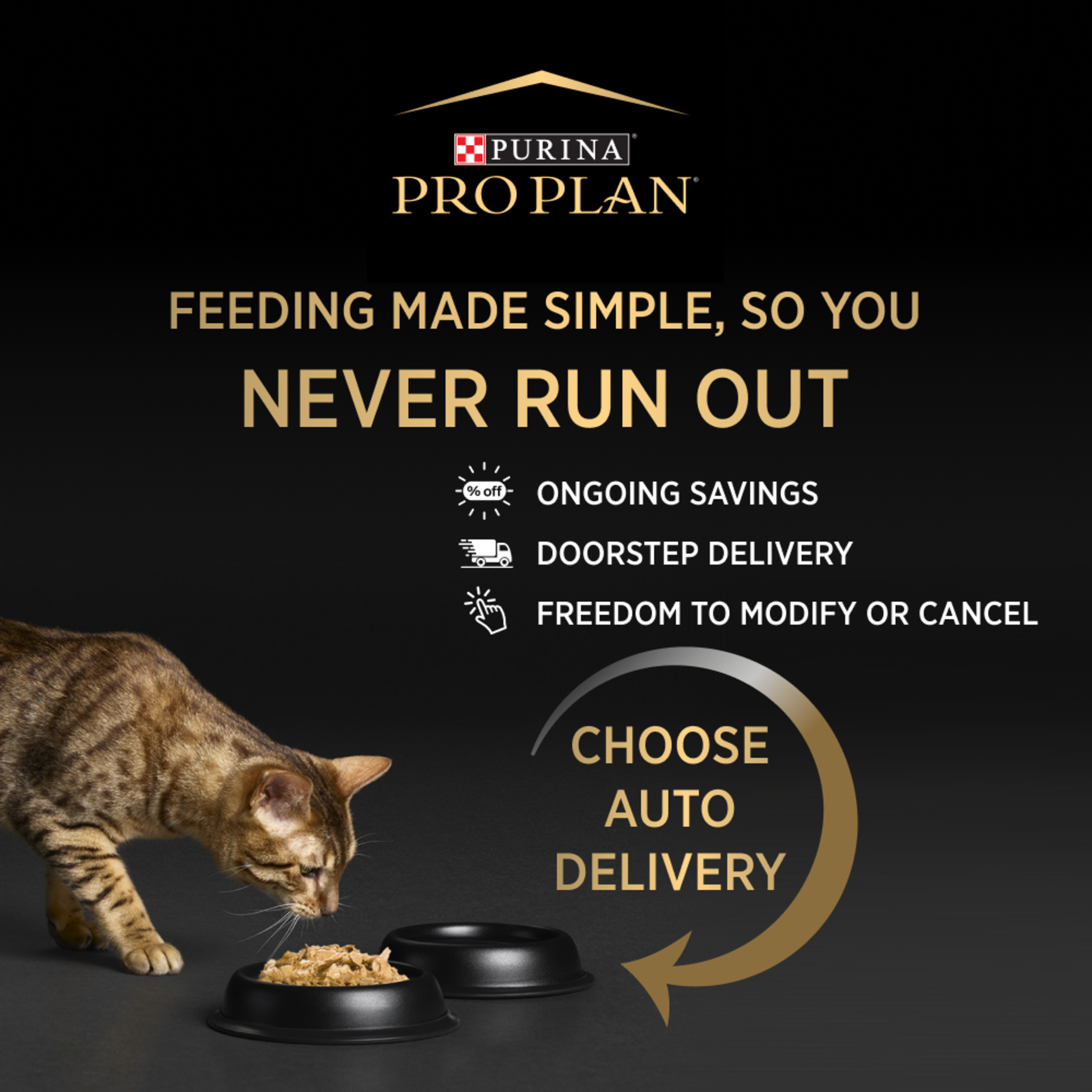 PRO PLAN Kitten Chicken Formula Dry Cat Food product detail 9