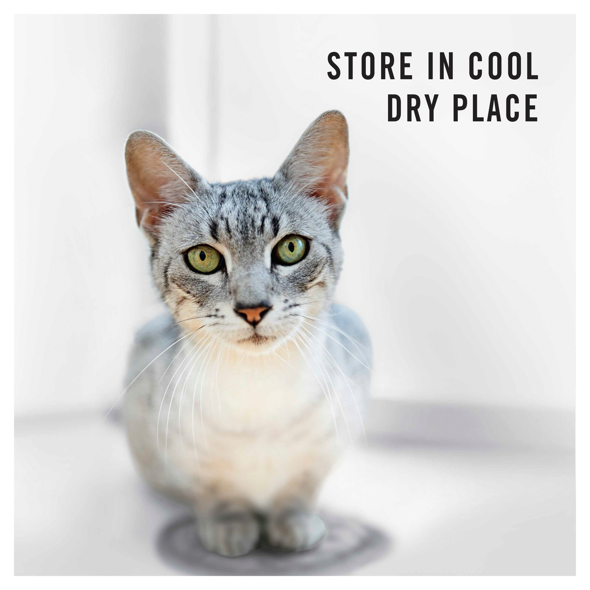 PRO PLAN Urinary Care storage note over a photo of a silver tabby cat: store in a cool, dry place