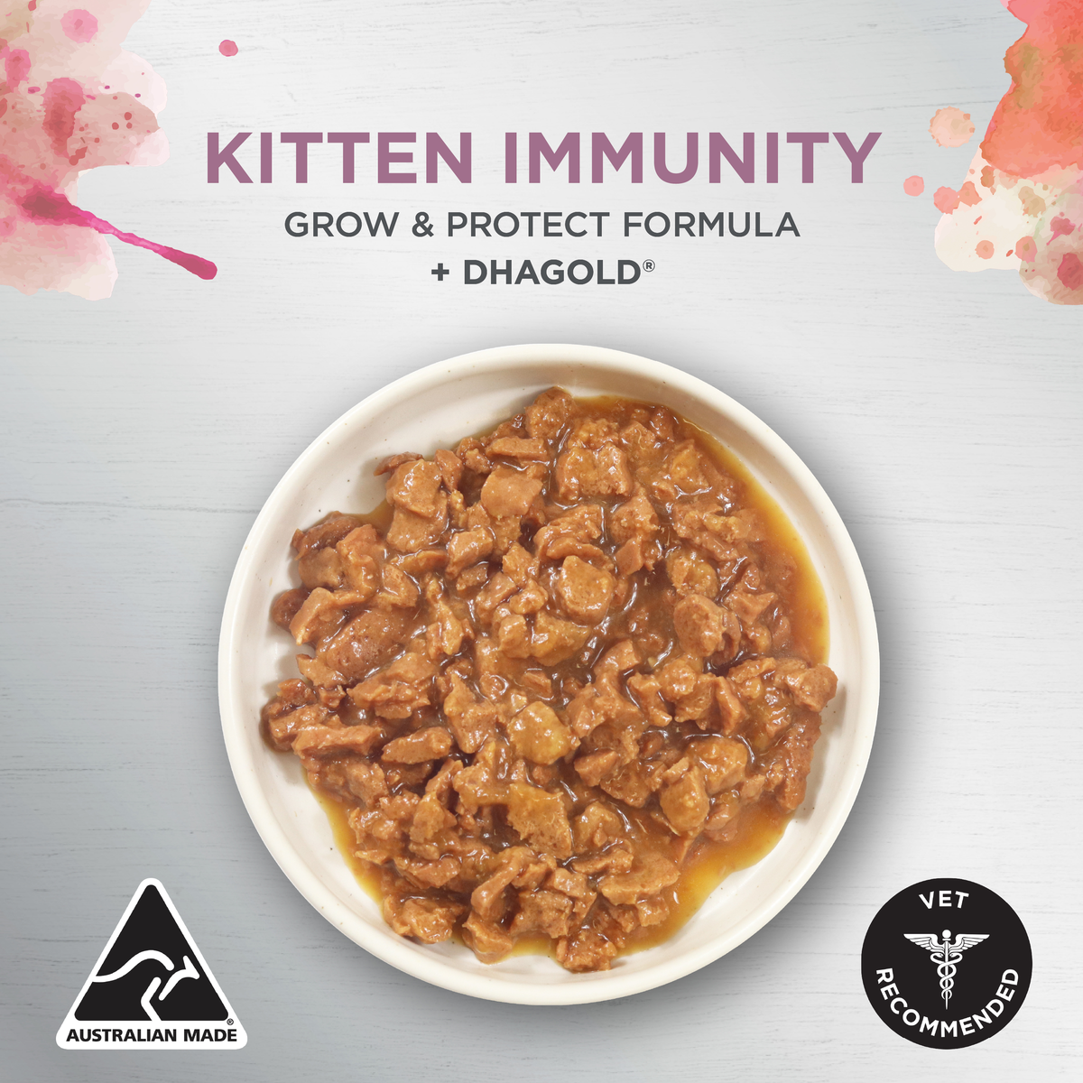 Ivory Coat Kitten Immunity wet food in a bowl, grow and protect formula with DHAgold