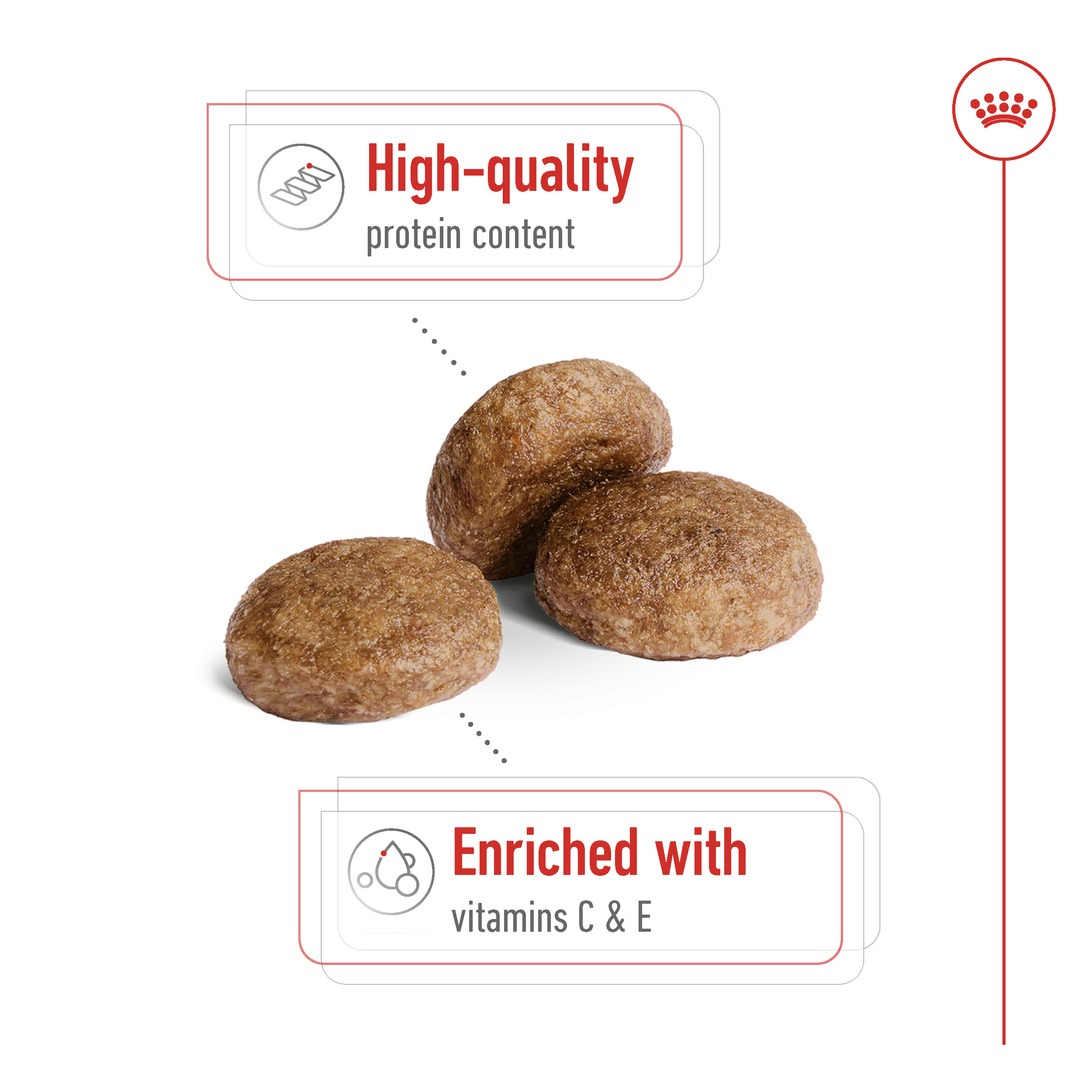 Royal Canin Medium Adult 7+ product detail 3