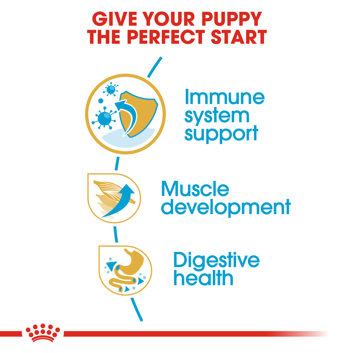 Royal Canin Boxer Puppy benefits graphic: immune system support, muscle development, digestive health