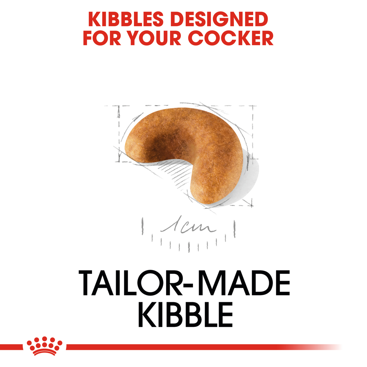 Close-up of the tailor-made Royal Canin kibble designed for the Cocker Spaniel Puppy