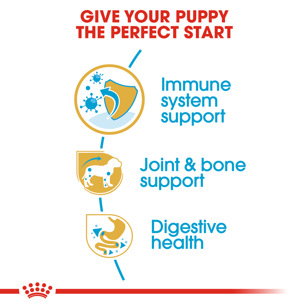 Royal Canin Dachshund Puppy benefits: immune support, joint and bone support, digestive health