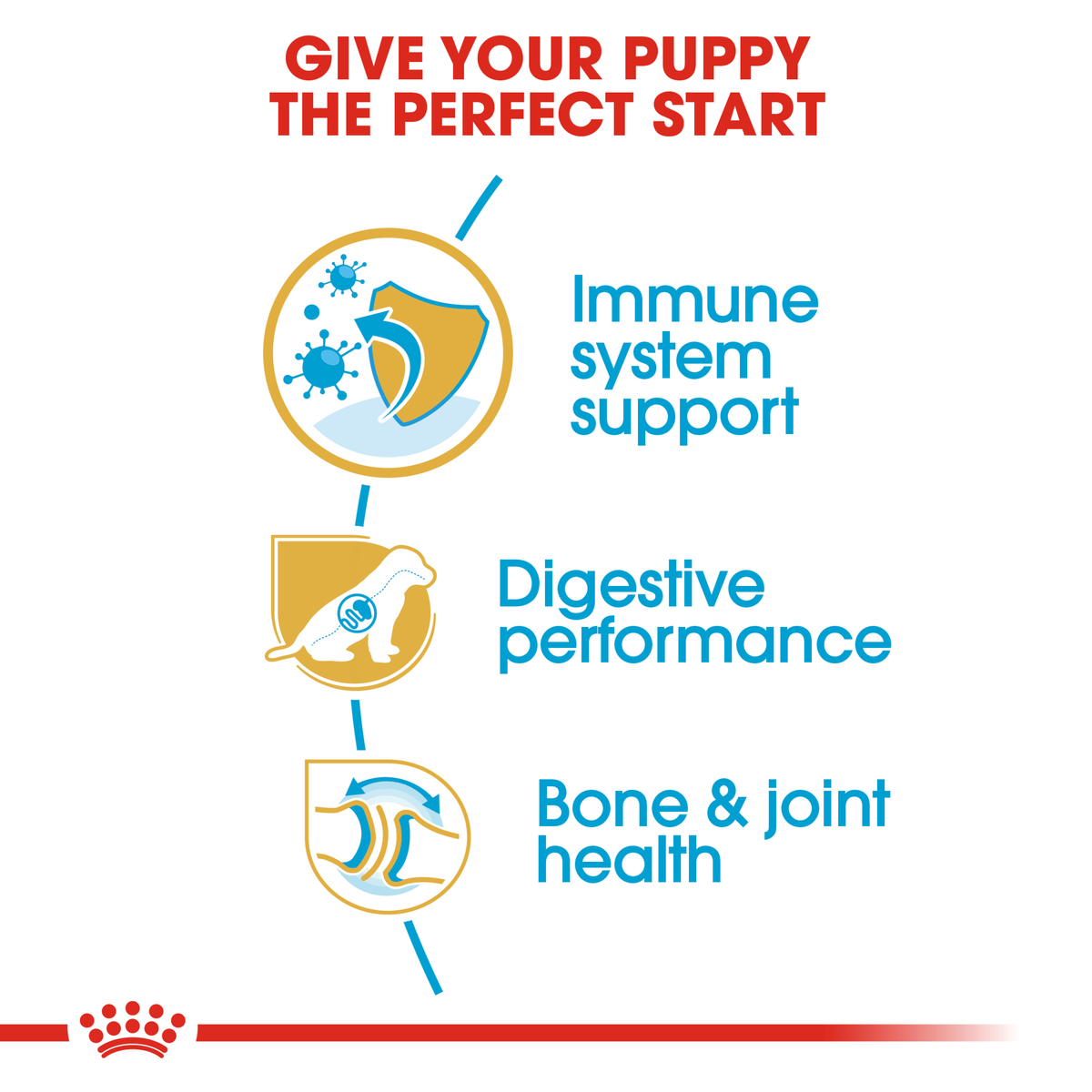 Royal Canin German Shepherd Puppy benefits: immune support, digestive performance, bone and joint