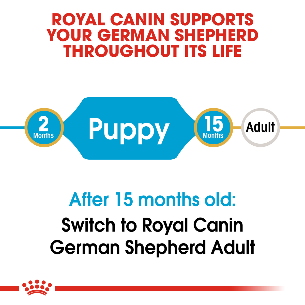 Royal Canin German Shepherd life stage guide: puppy food to 15 months, then adult food
