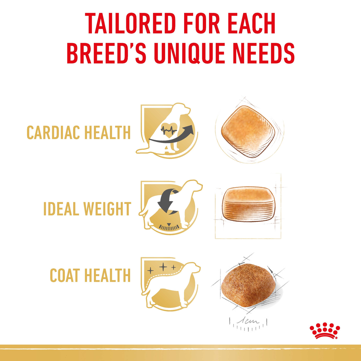 Royal Canin Cavalier King Charles benefits graphic: cardiac health, ideal weight, coat health