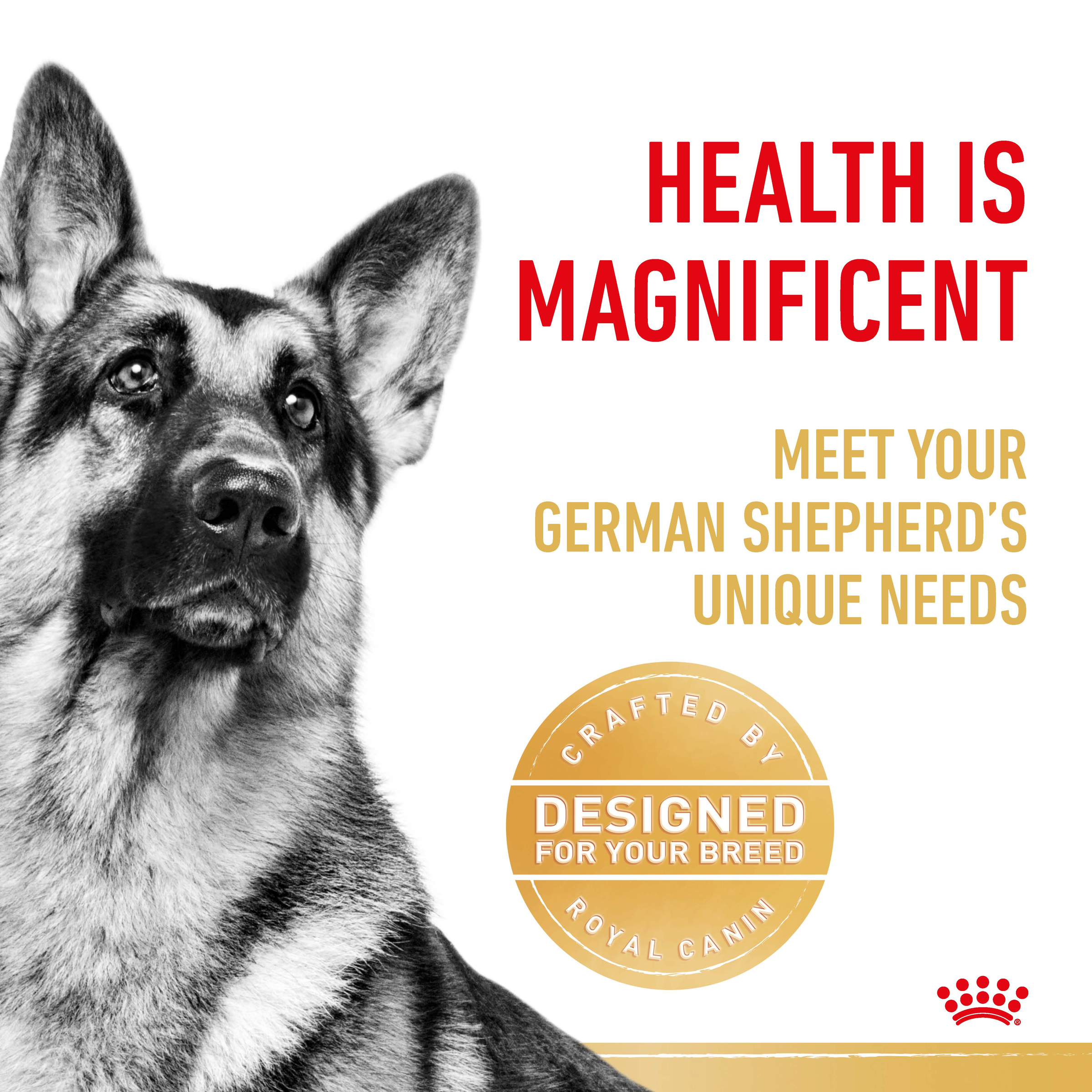 Black and white close-up of a German Shepherd beside a designed-for-your-breed seal