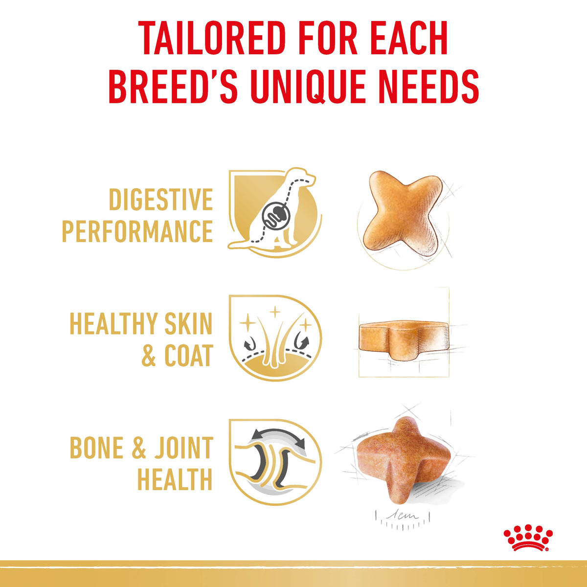 Royal Canin German Shepherd benefits: digestive performance, healthy skin and coat, bone and joint