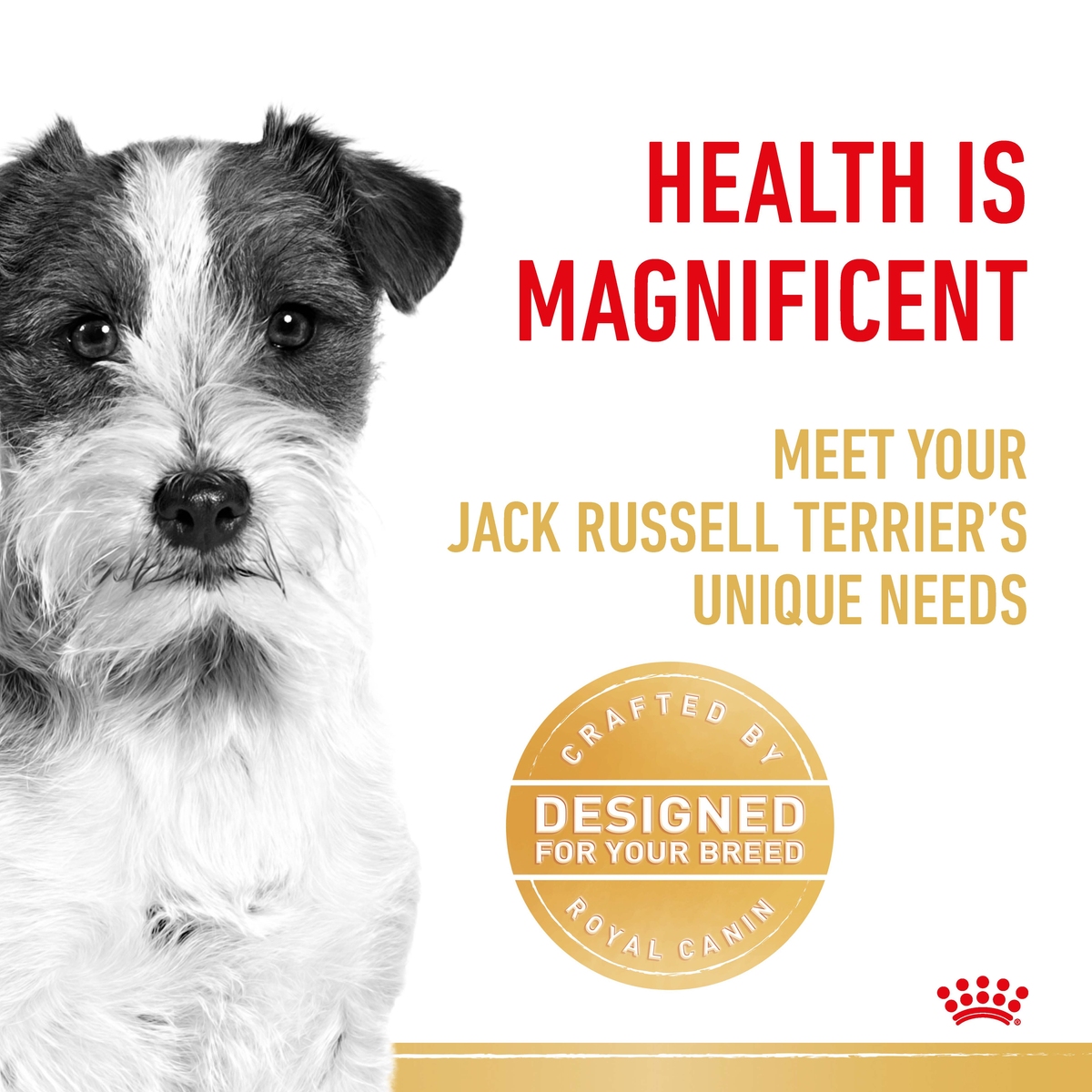 Black and white close-up of a Jack Russell Terrier beside a designed-for-your-breed seal