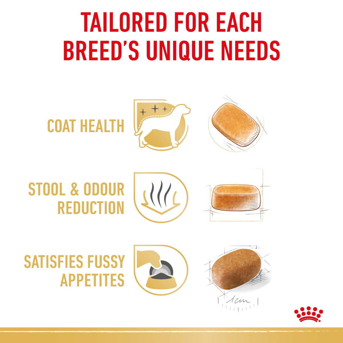 Royal Canin Maltese benefits: coat health, stool and odour reduction, satisfies fussy appetites