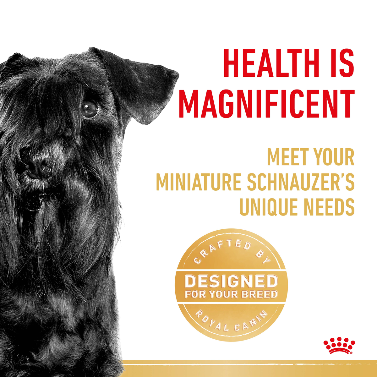 Black and white close-up of a Miniature Schnauzer beside a designed-for-your-breed seal