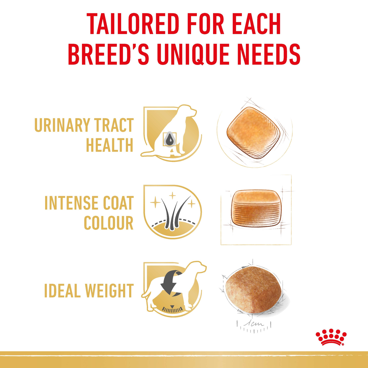 Royal Canin Miniature Schnauzer benefits: urinary tract health, intense coat colour, ideal weight
