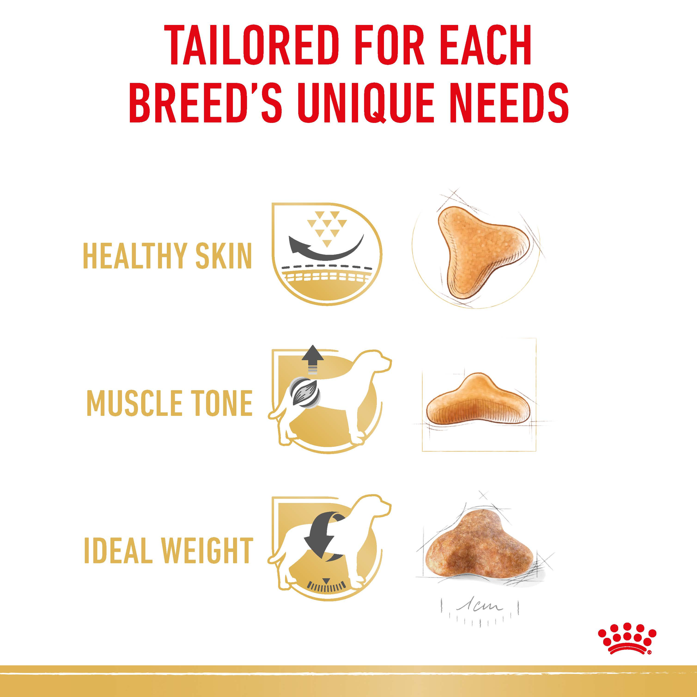 Royal Canin Pug product detail 3