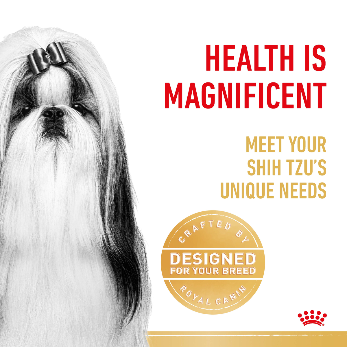 Black and white close-up of a Shih Tzu beside a designed-for-your-breed seal