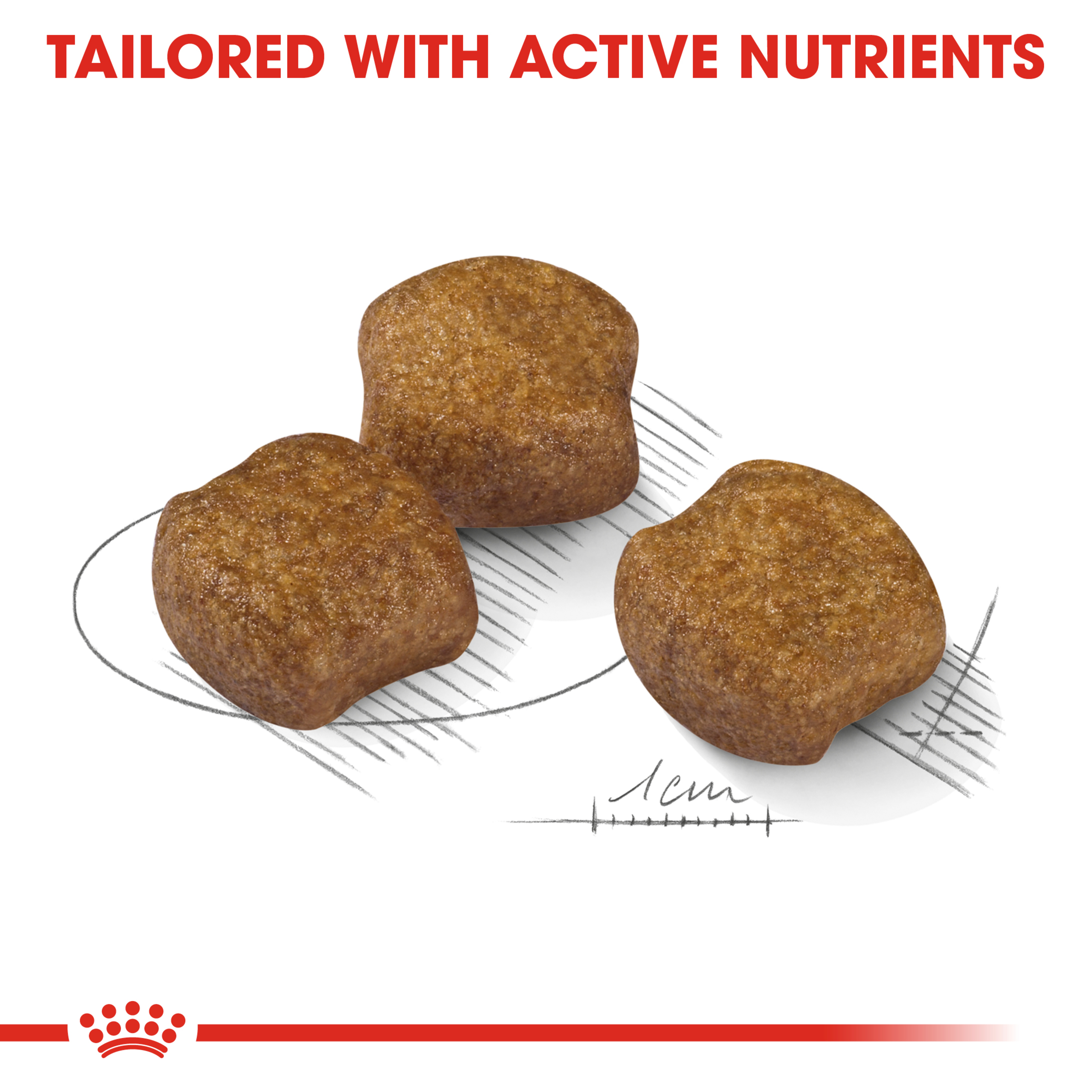 Royal Canin Medium Dental Care product detail 3