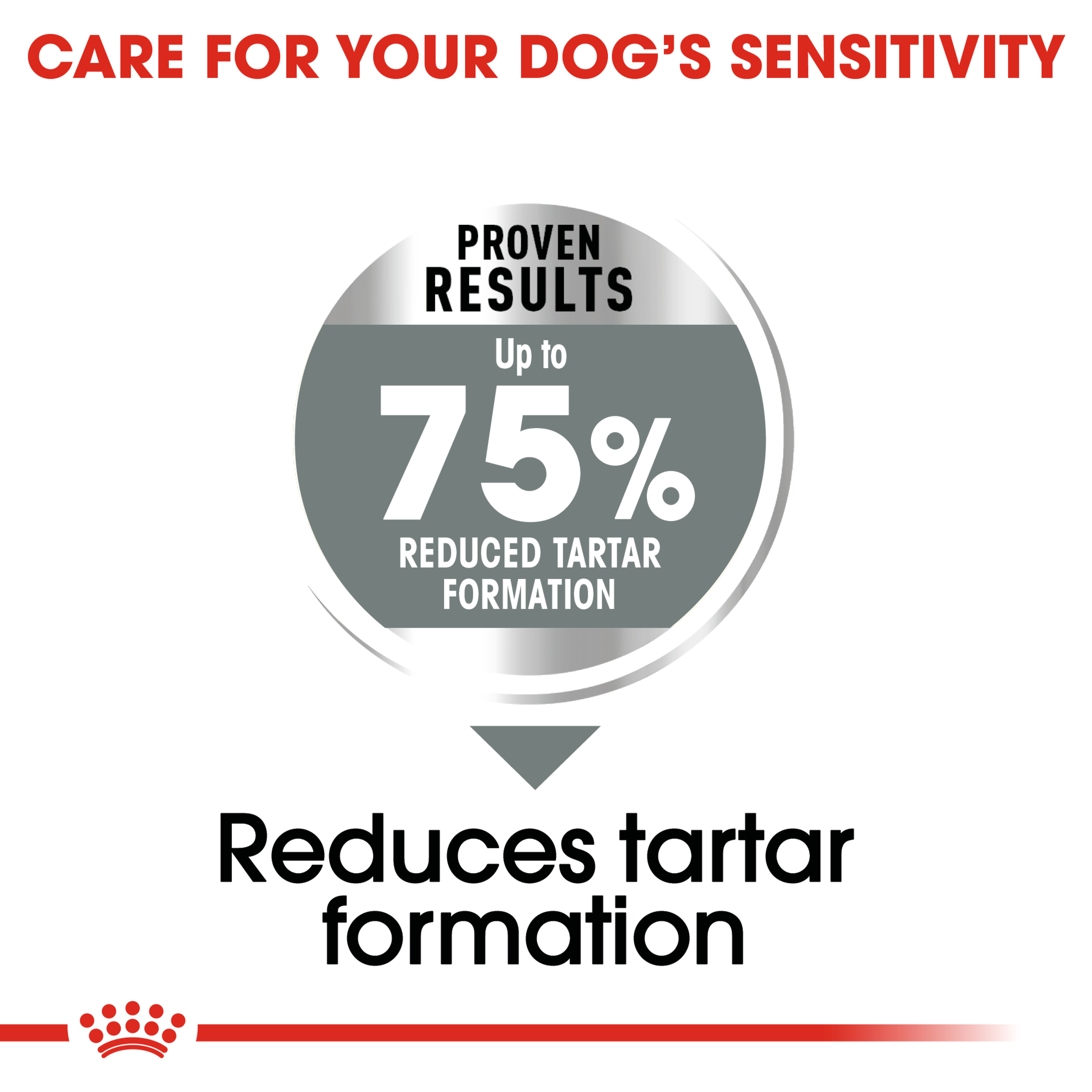 Royal Canin Maxi Dental Care product detail 4