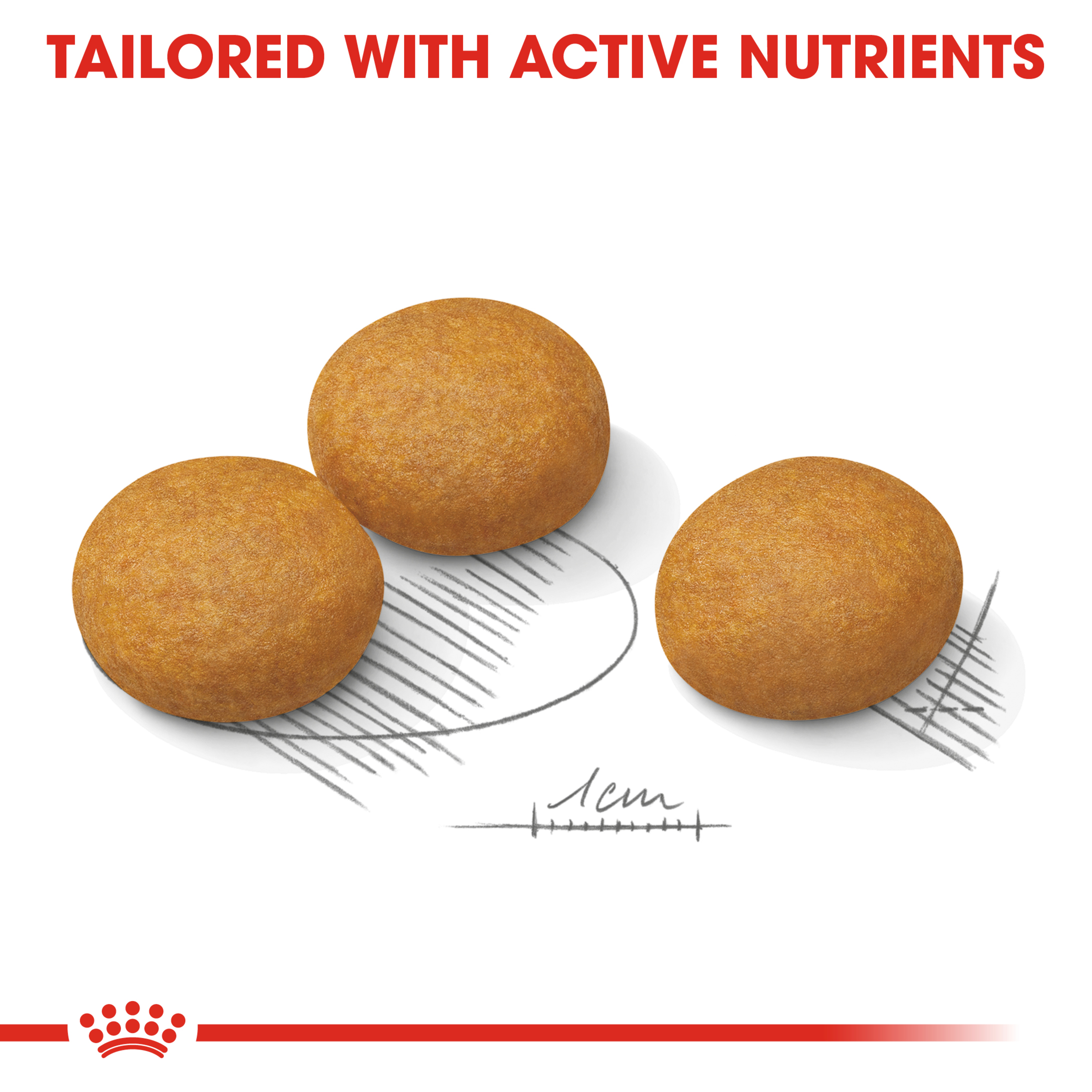 Royal Canin Maxi Dermacomfort product detail 4