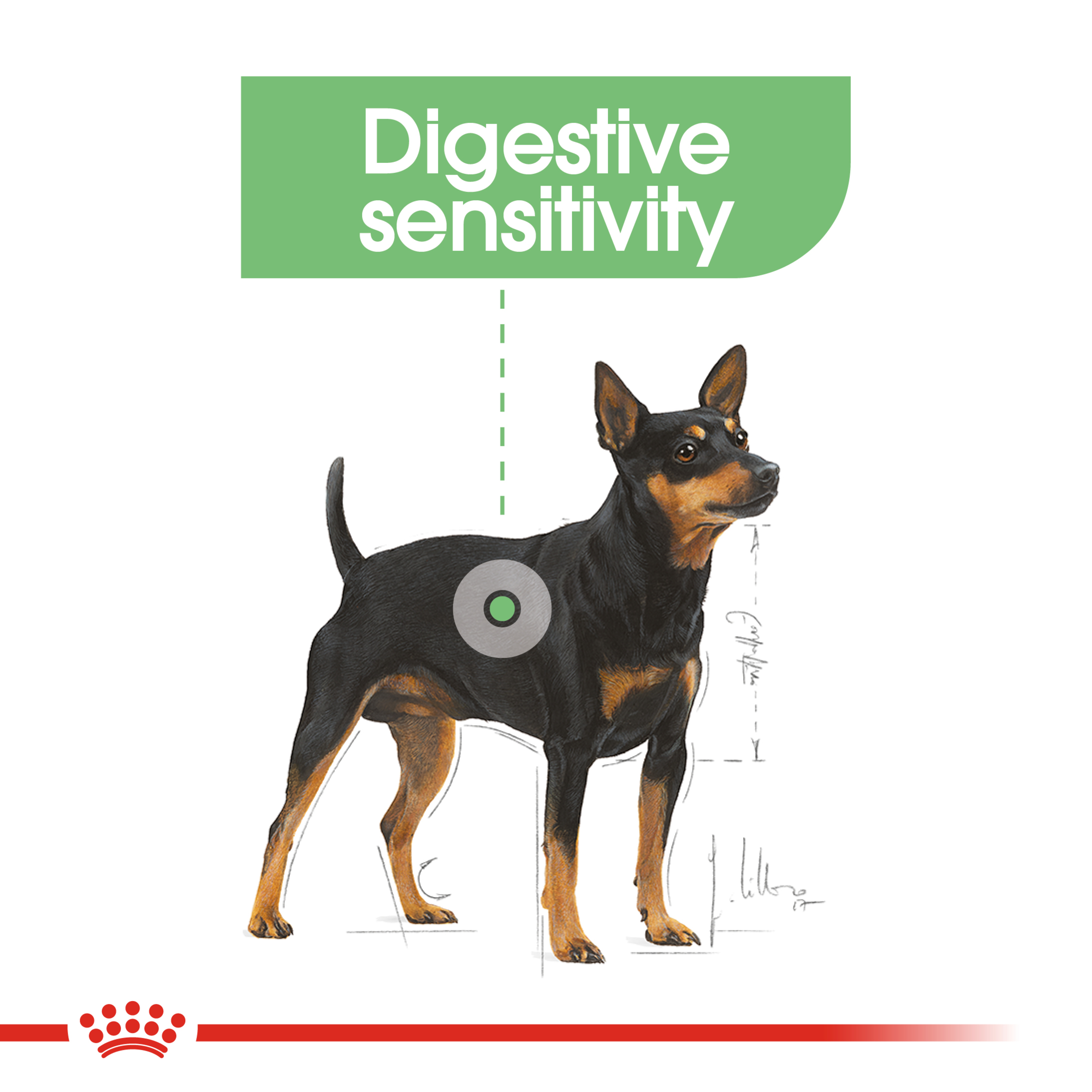 Royal Canin Mini Digestive Care product detail 3
