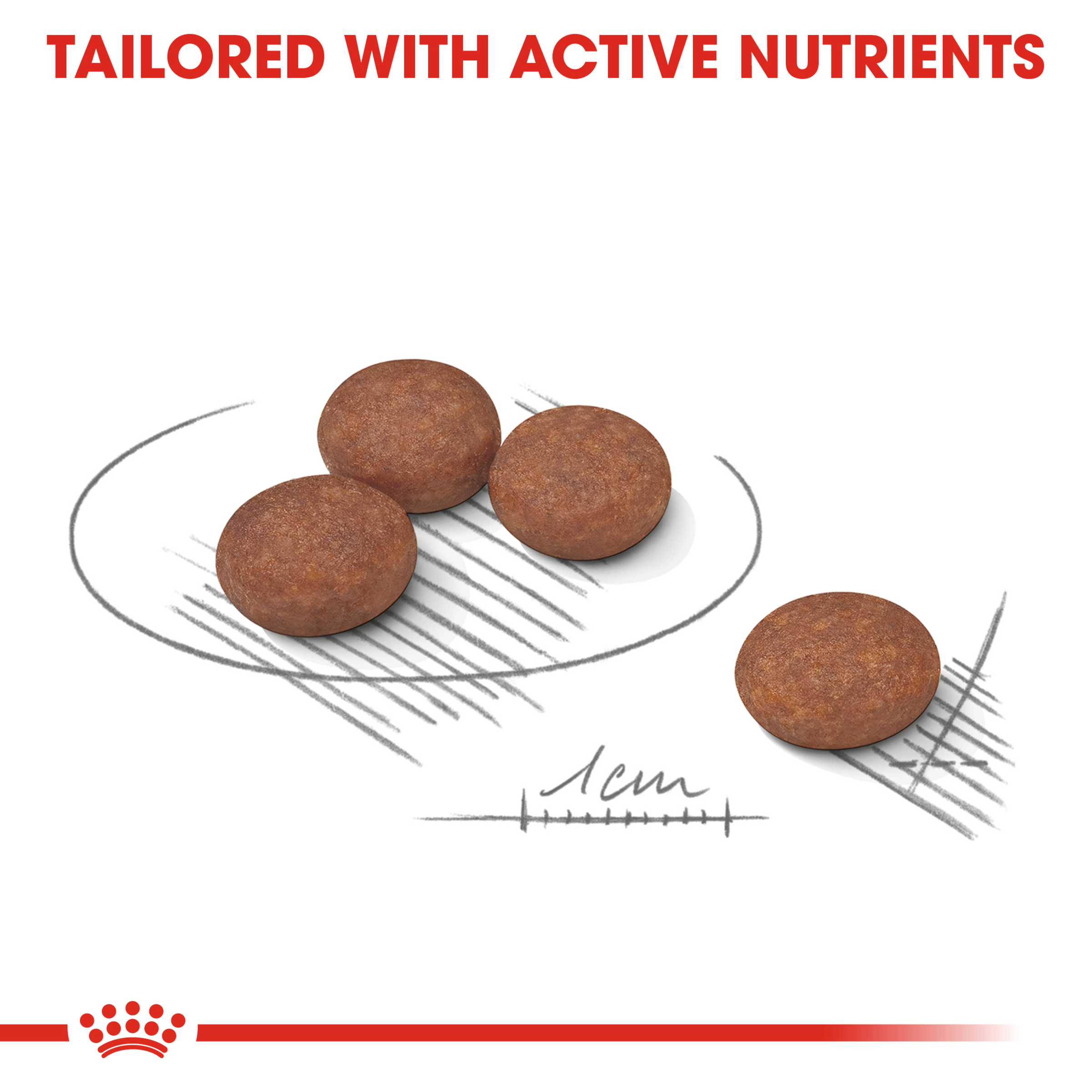 Royal Canin Mini Digestive Care product detail 4