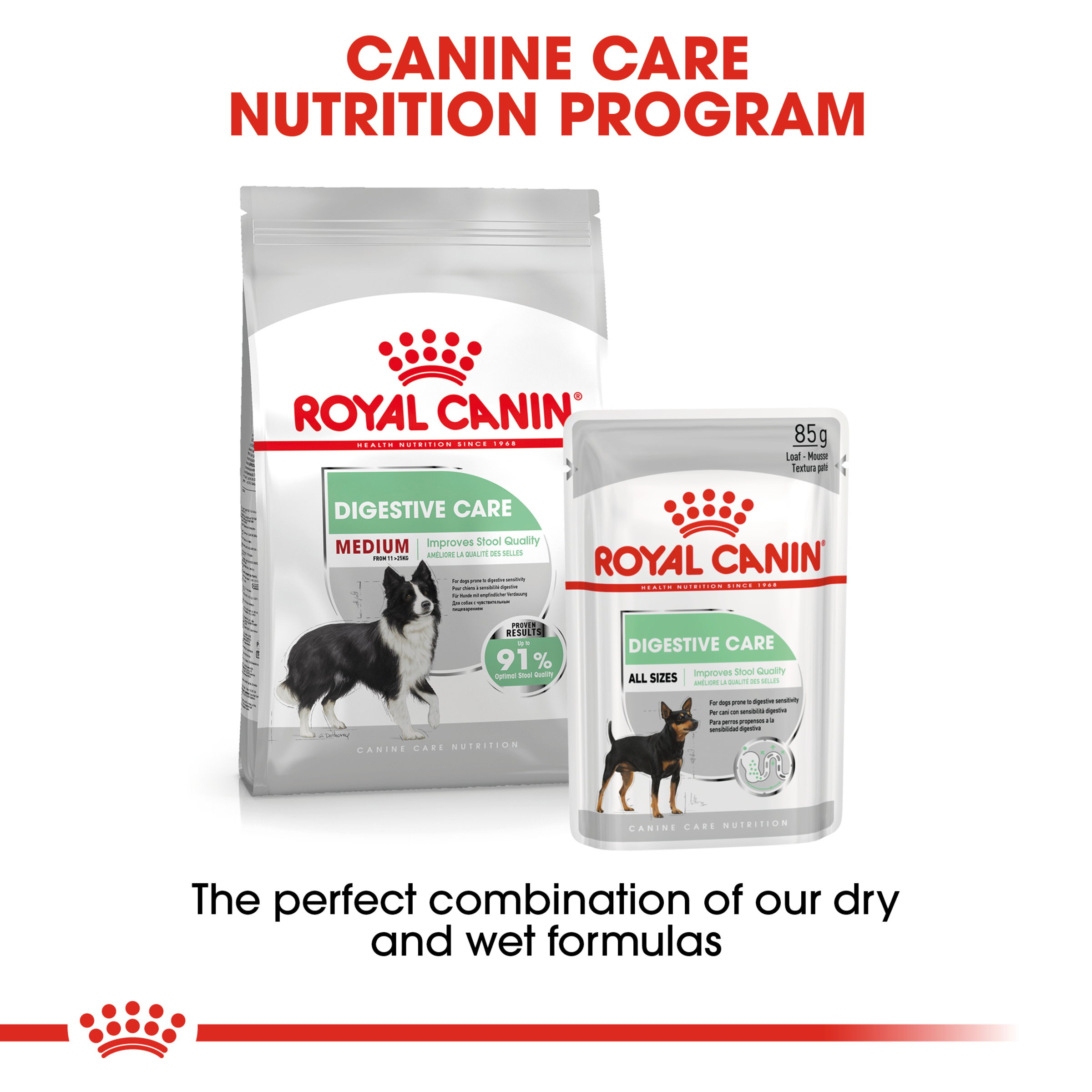 Royal Canin Medium Digestive Care product detail 2