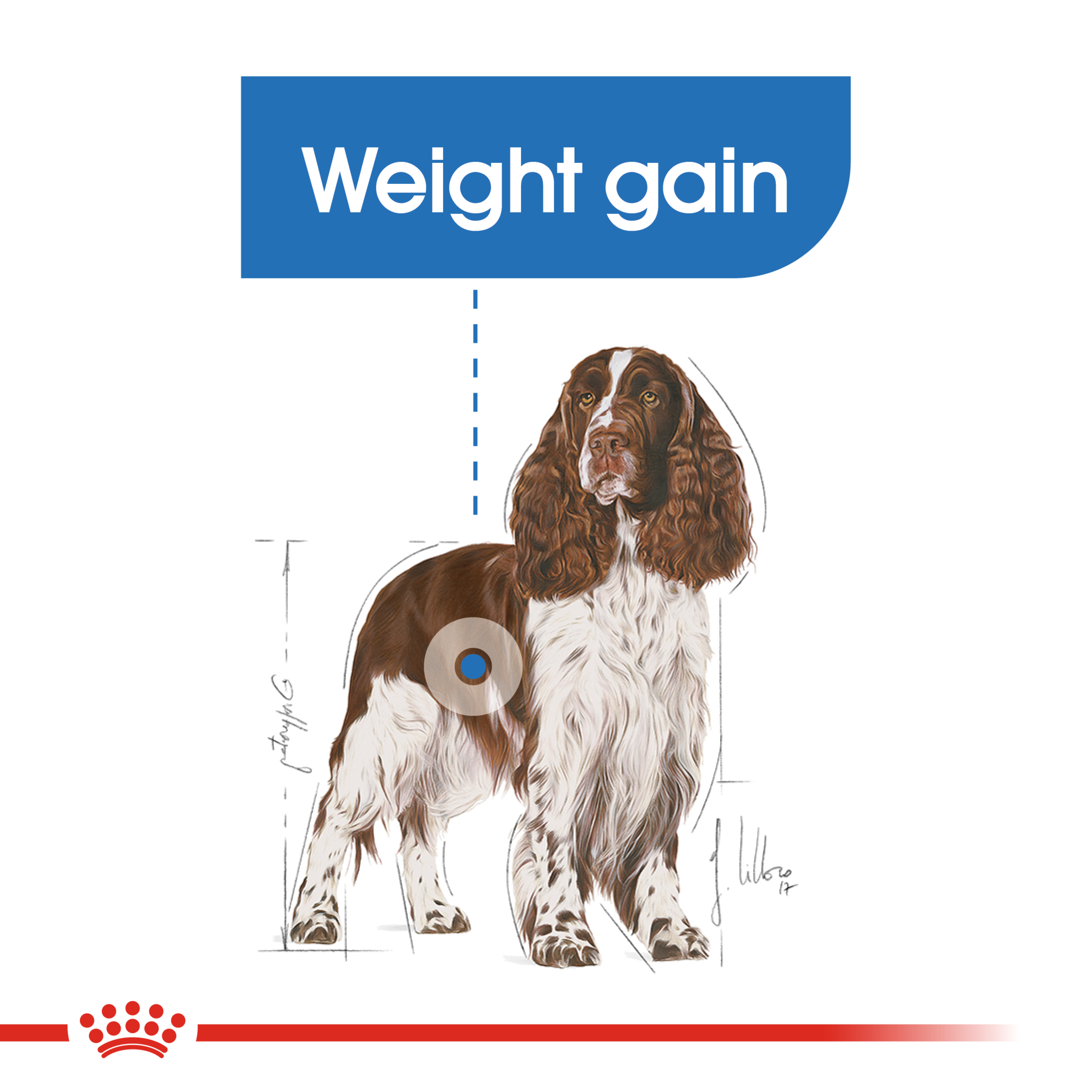 Royal Canin Medium Light Weight Care product detail 3