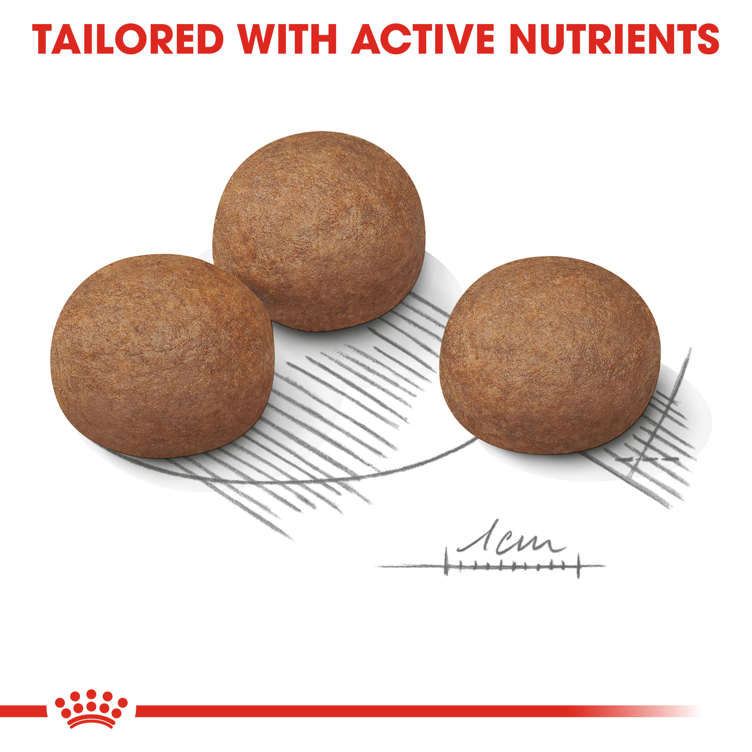 Royal Canin Maxi Digestive Care product detail 4