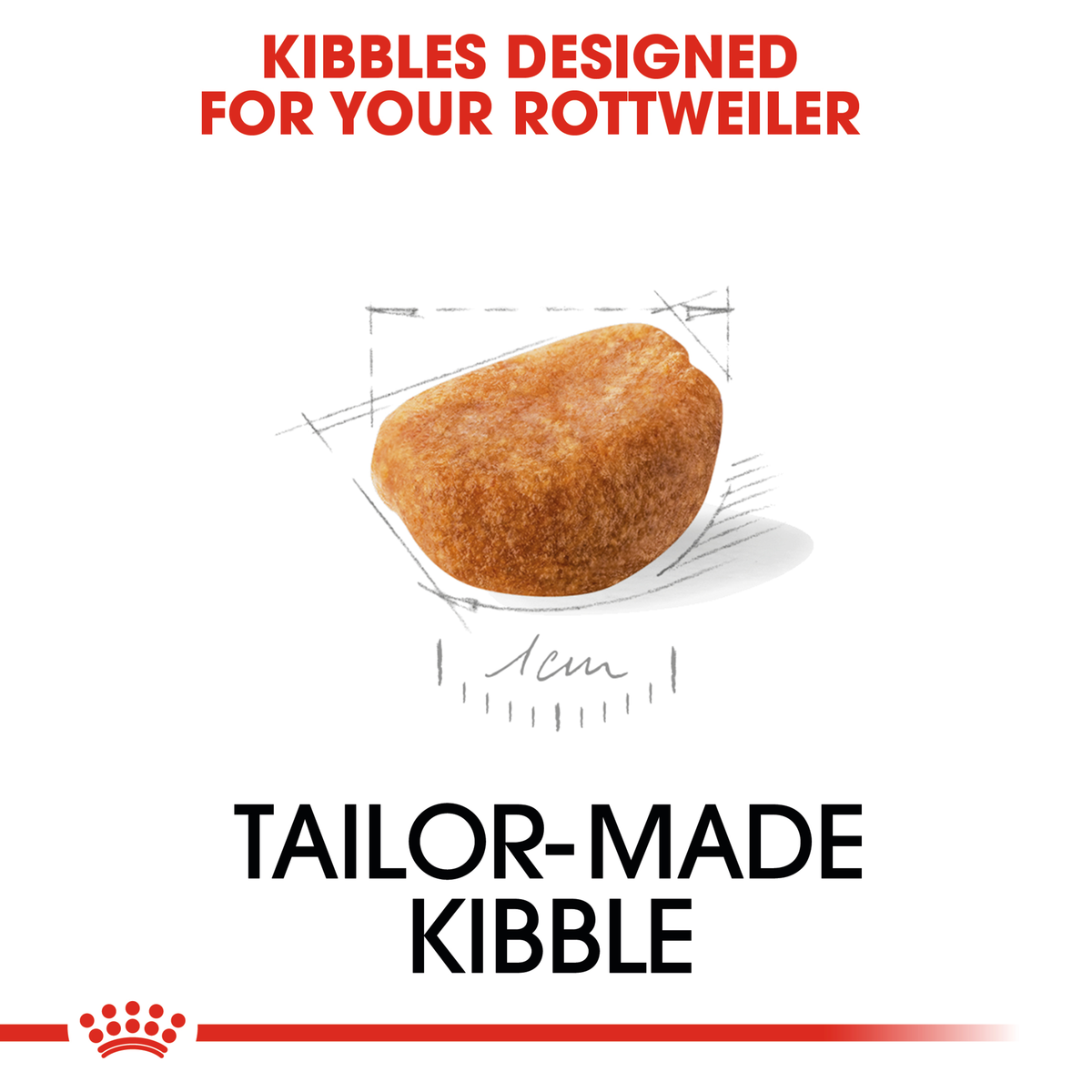 Close-up of the tailor-made Royal Canin kibble designed for the Rottweiler Puppy