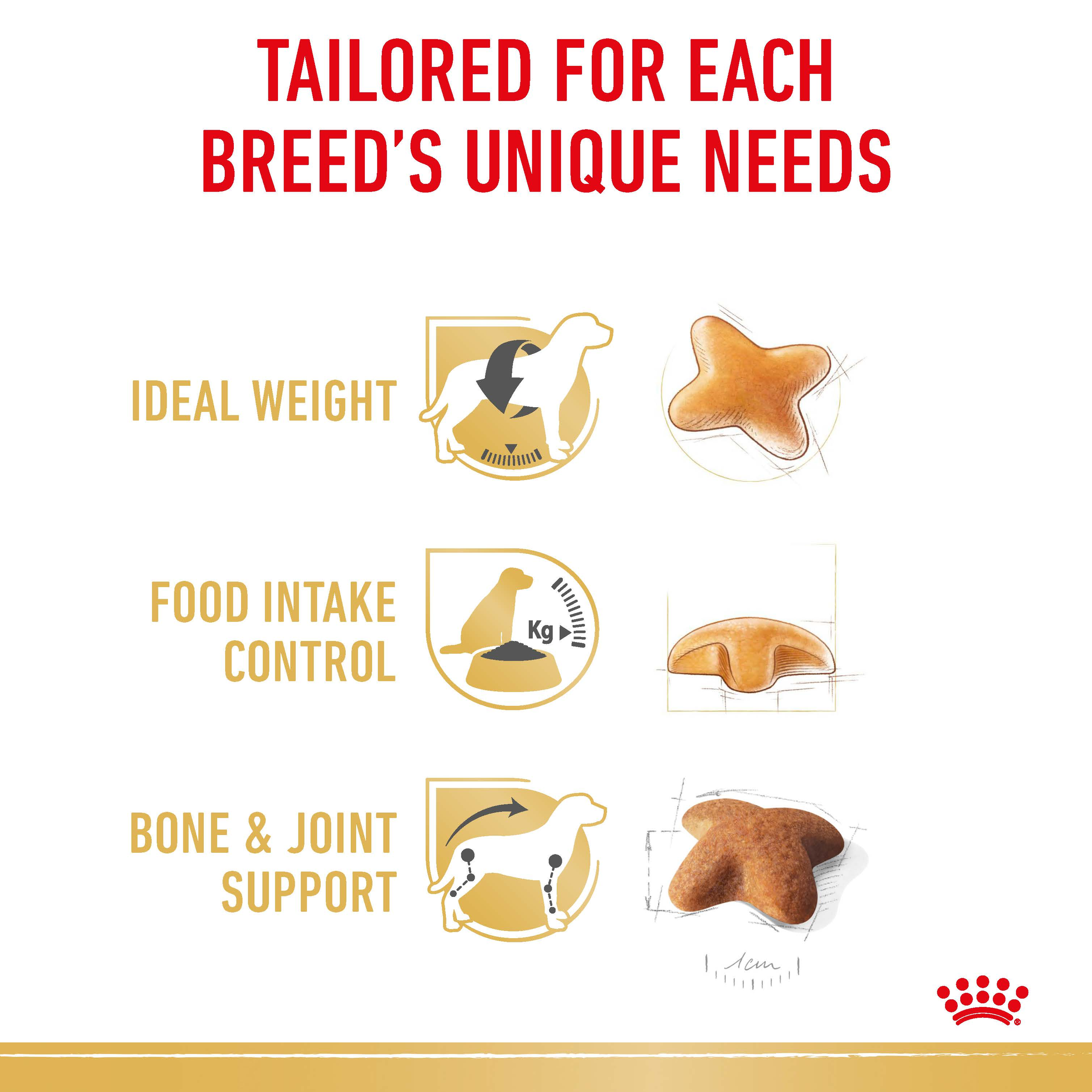 Royal Canin Beagle product detail 3