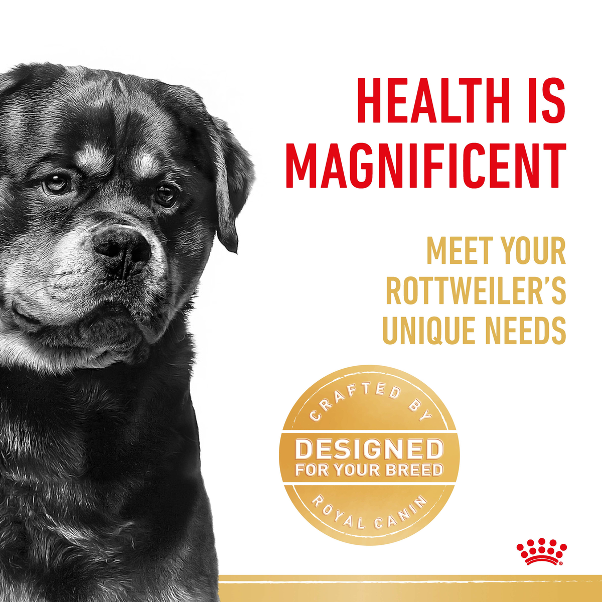 Black and white close-up of a Rottweiler beside a designed-for-your-breed seal