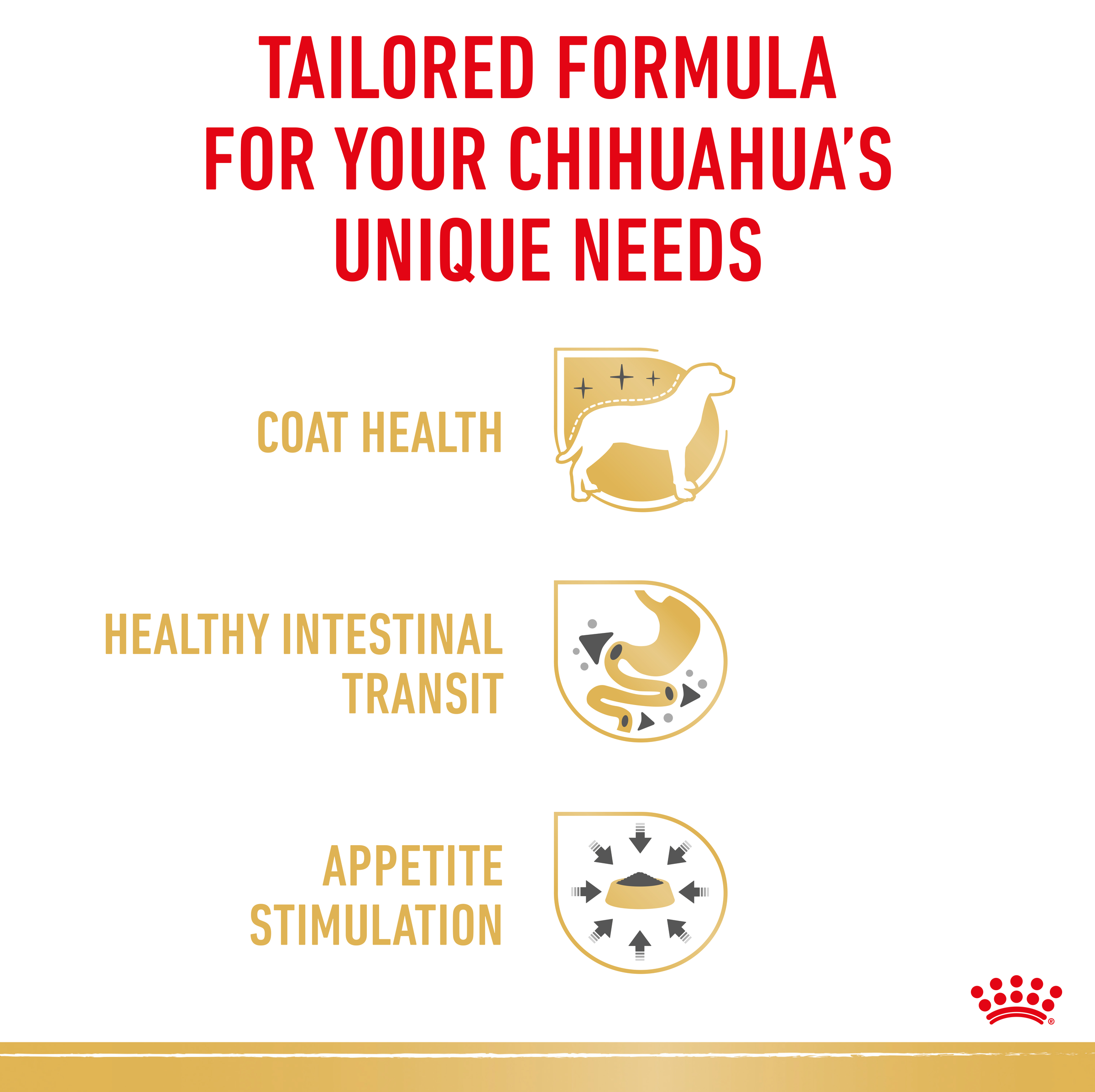 Royal Canin Chihuahua Wet Dog Food product detail 5