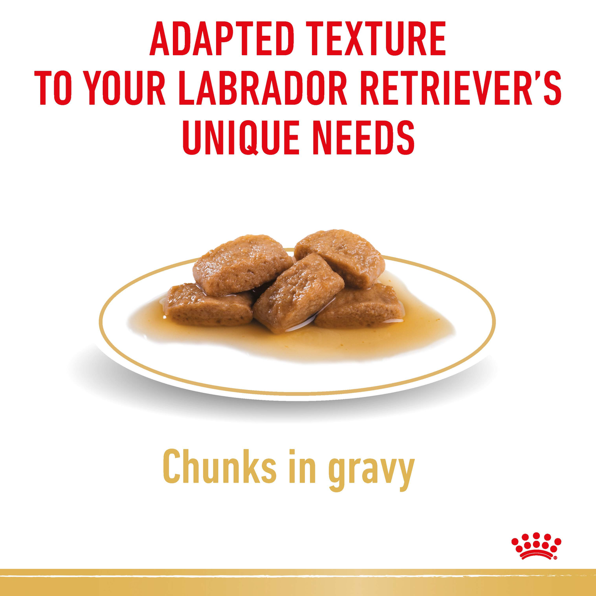 Close-up of Royal Canin Labrador Retriever chunks in gravy, adapted texture