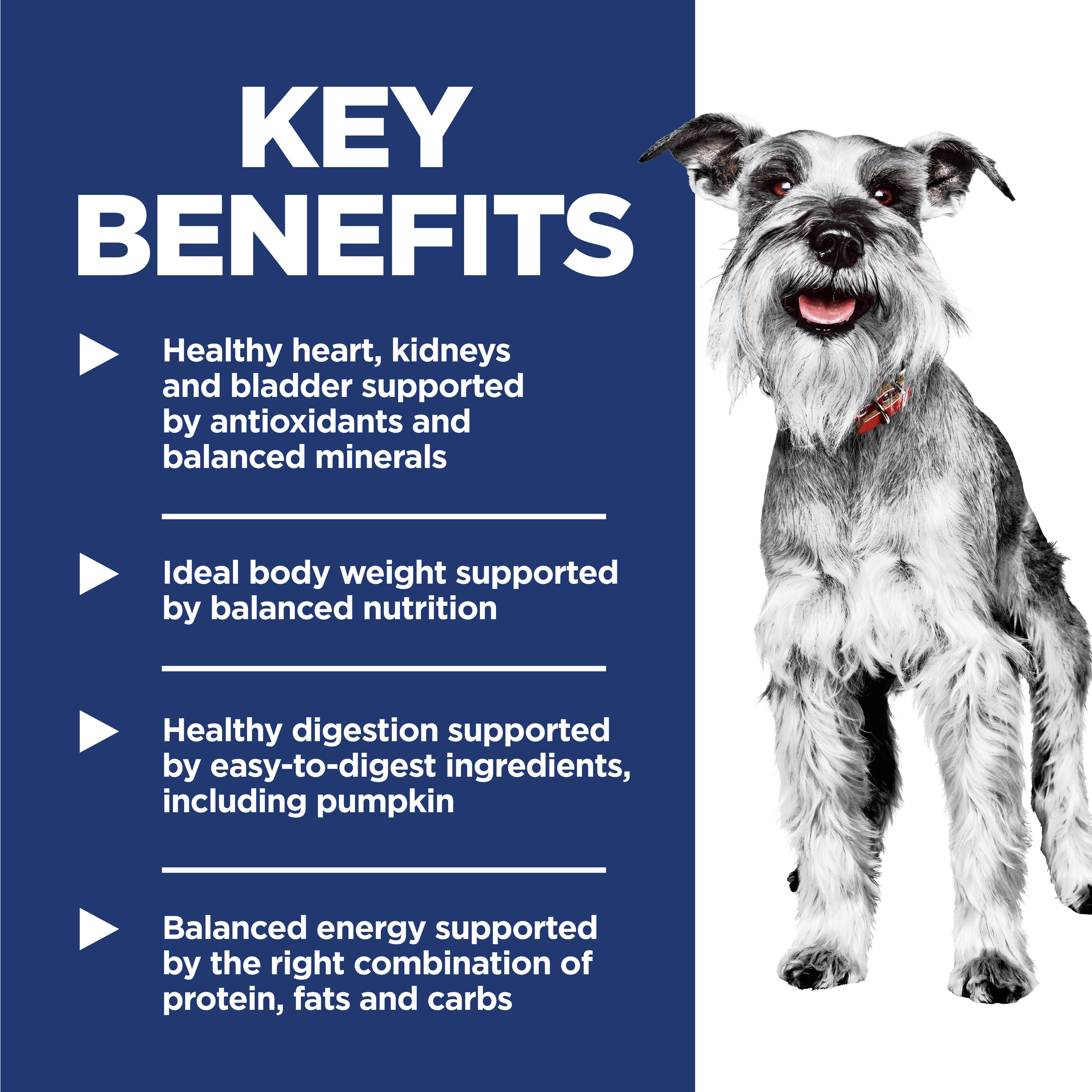 Key benefits panel for Hill's Adult 7+ Small & Mini: organ support, ideal body weight and easy digestion