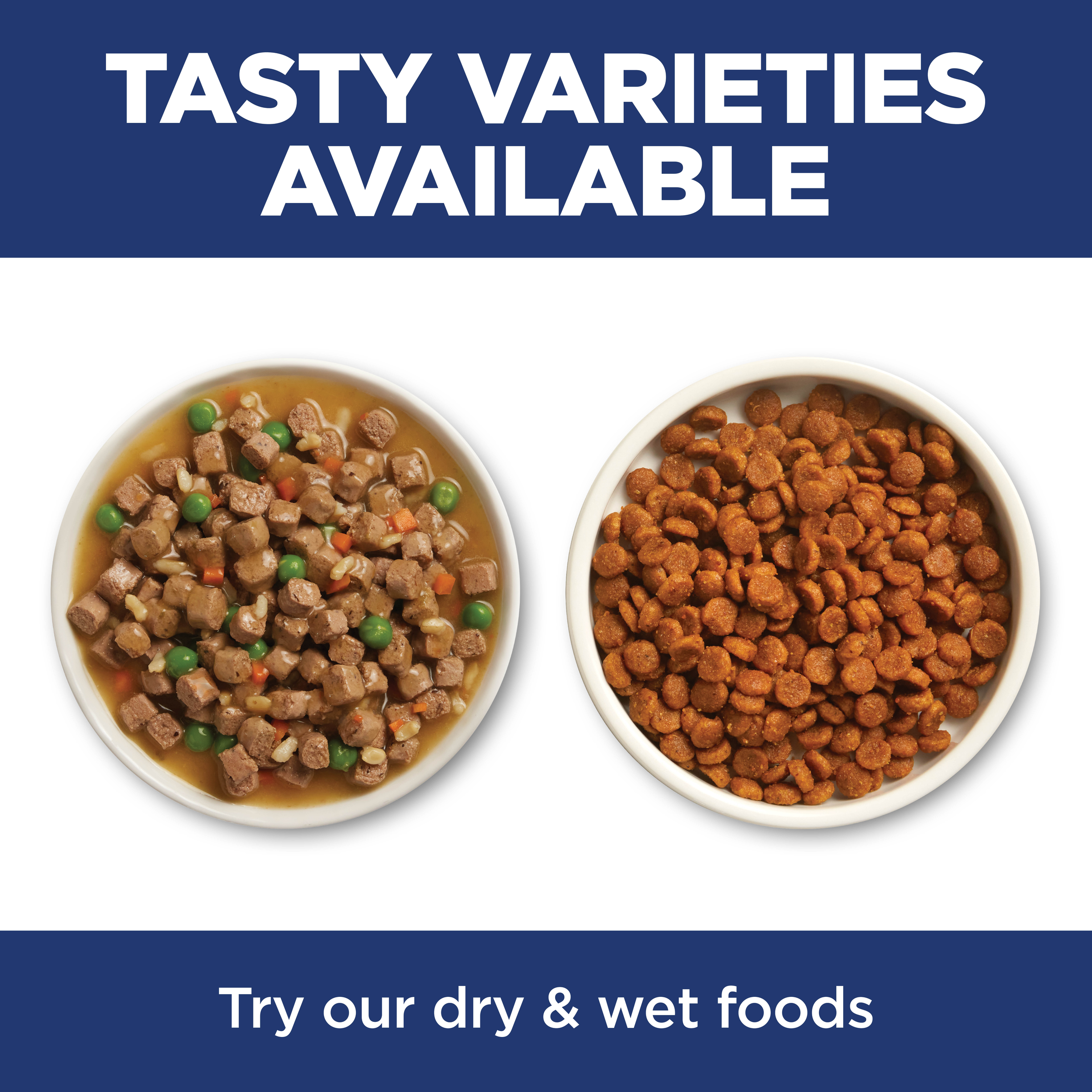 Tasty varieties available: bowls of Hill's Science Diet wet and dry cat food side by side