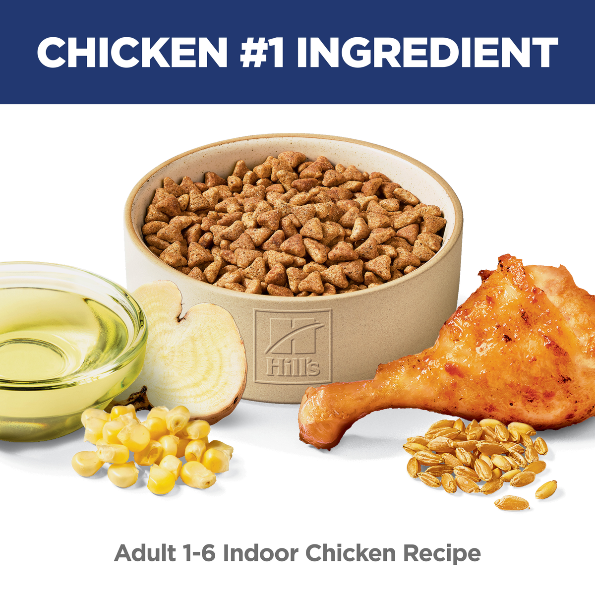Chicken is the number one ingredient: bowl of Hill's Adult Indoor chicken recipe cat kibble