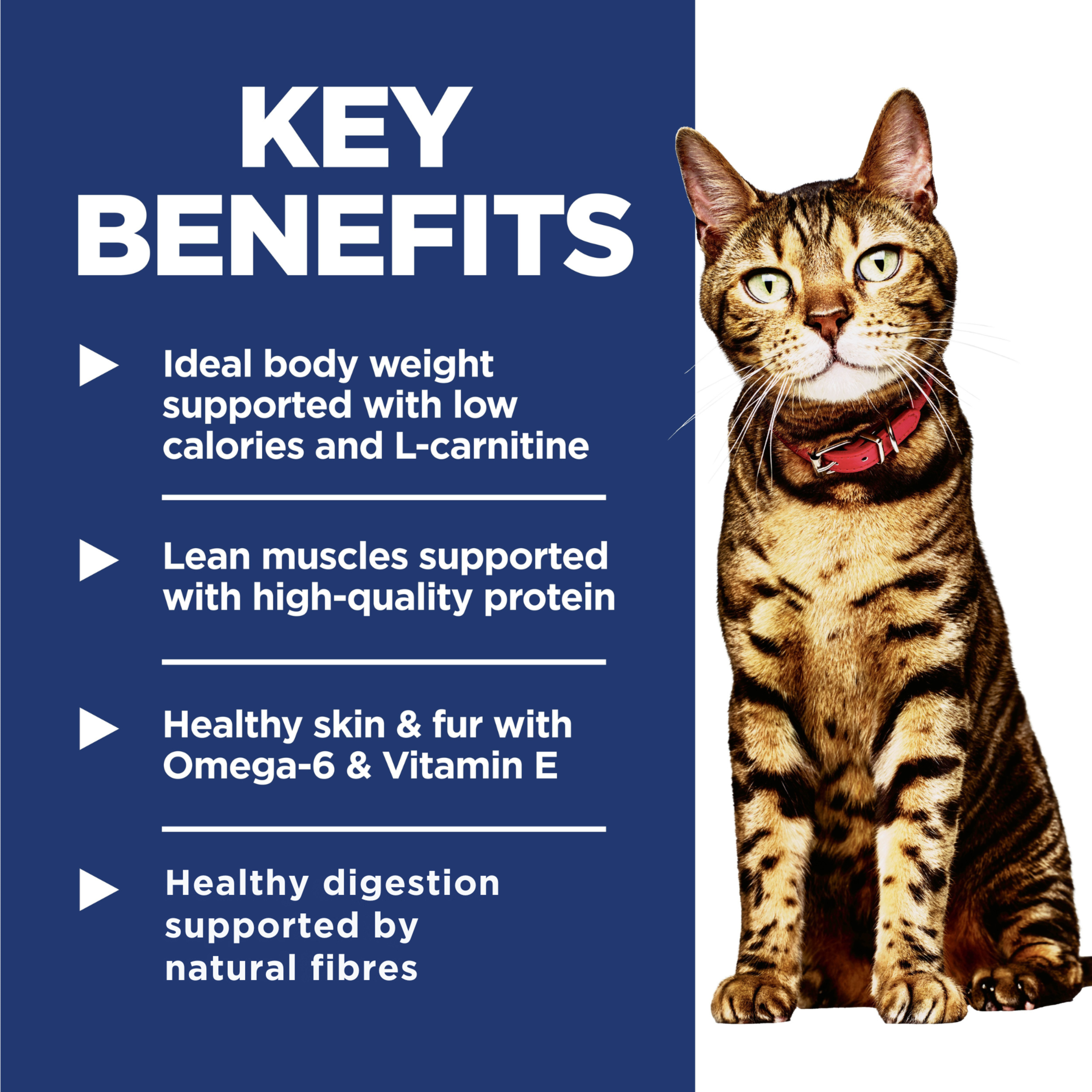 Key benefits panel for Hill's Adult Light: low calories and L-carnitine for ideal body weight