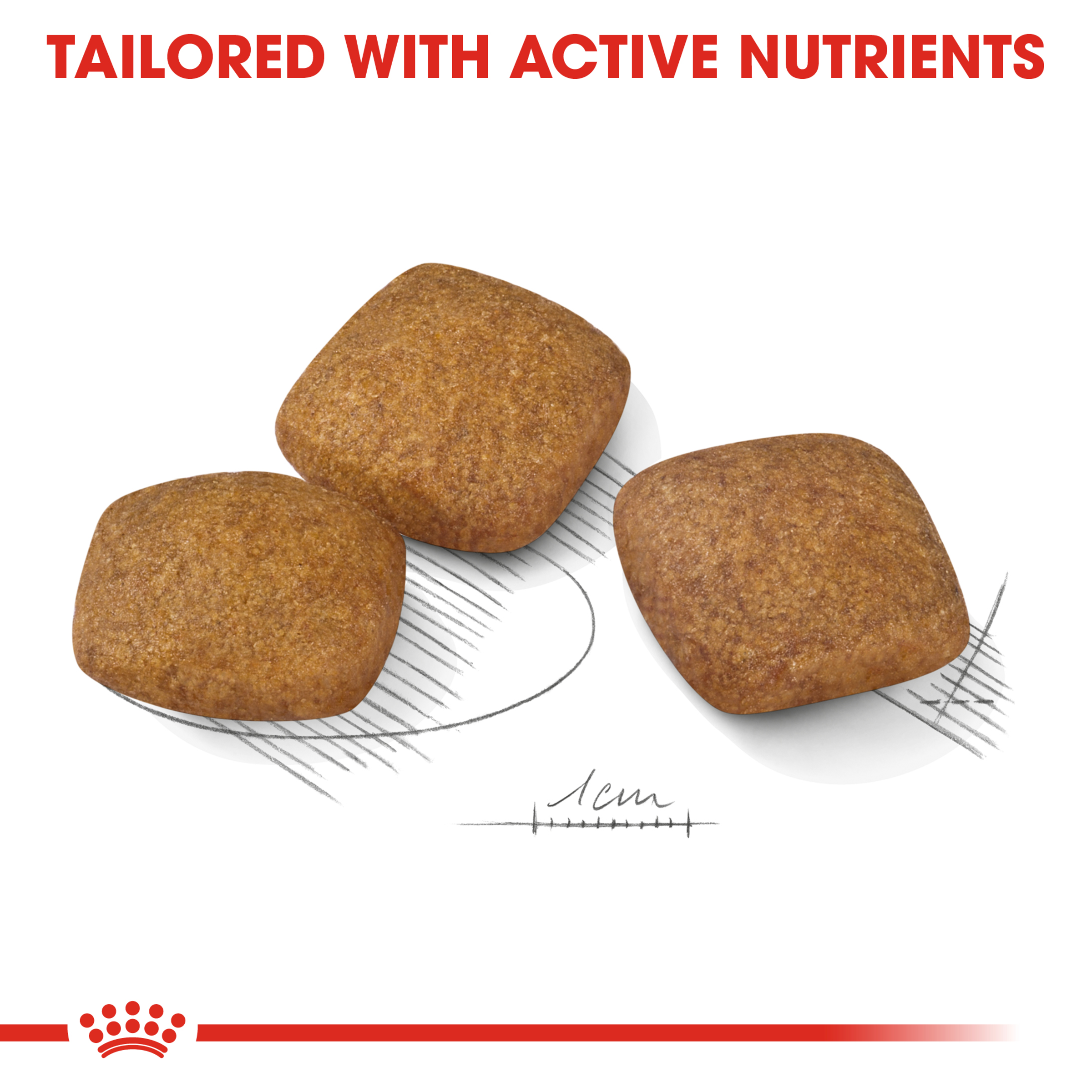 Royal Canin Maxi Relax Care product detail 4