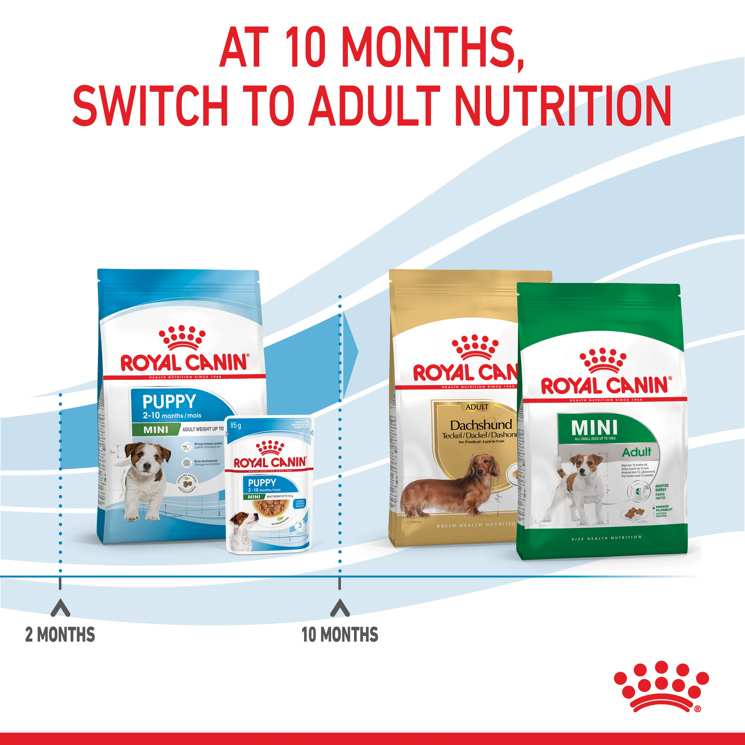 Royal Canin Mini Puppy product detail 5