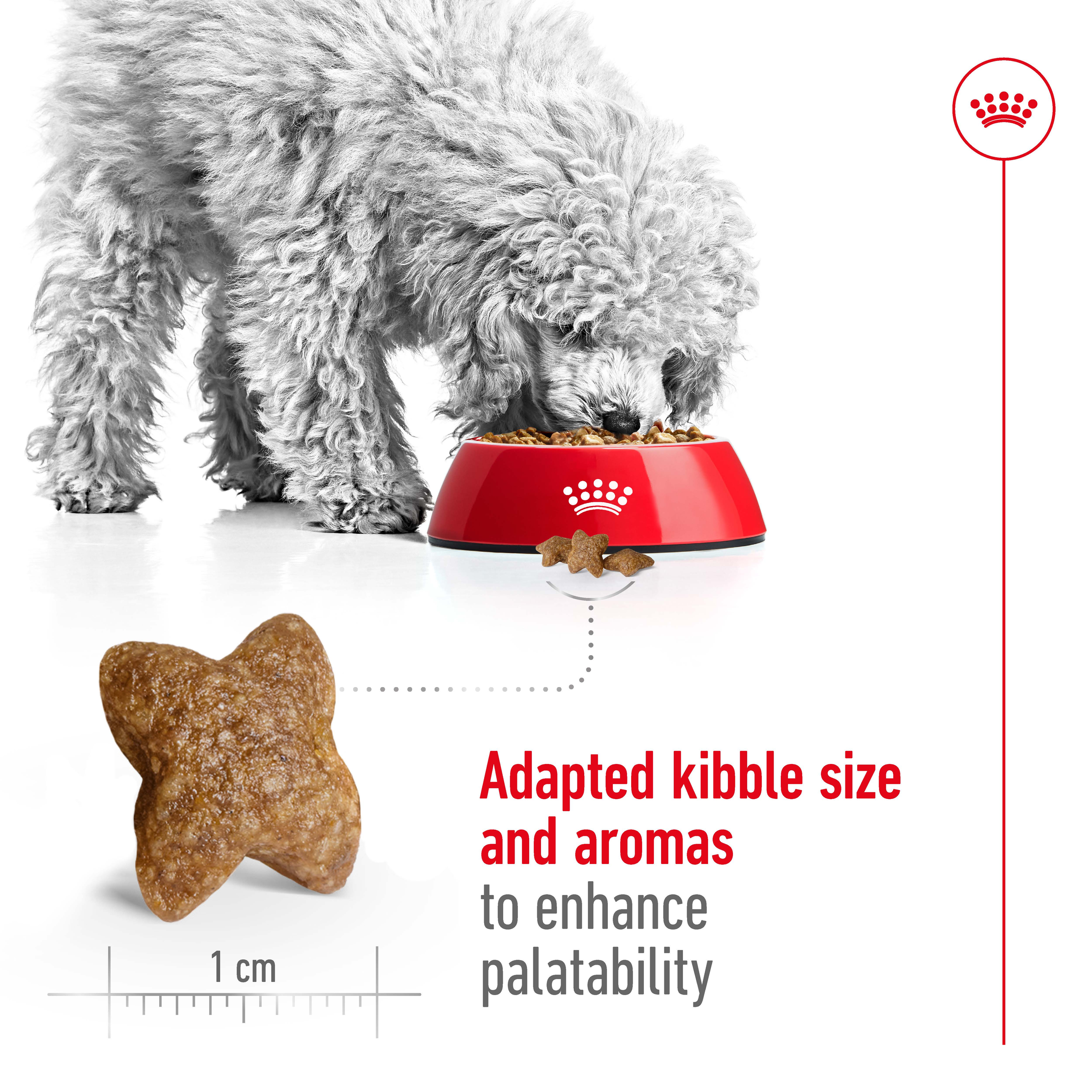 Royal Canin Mini Adult product detail 4