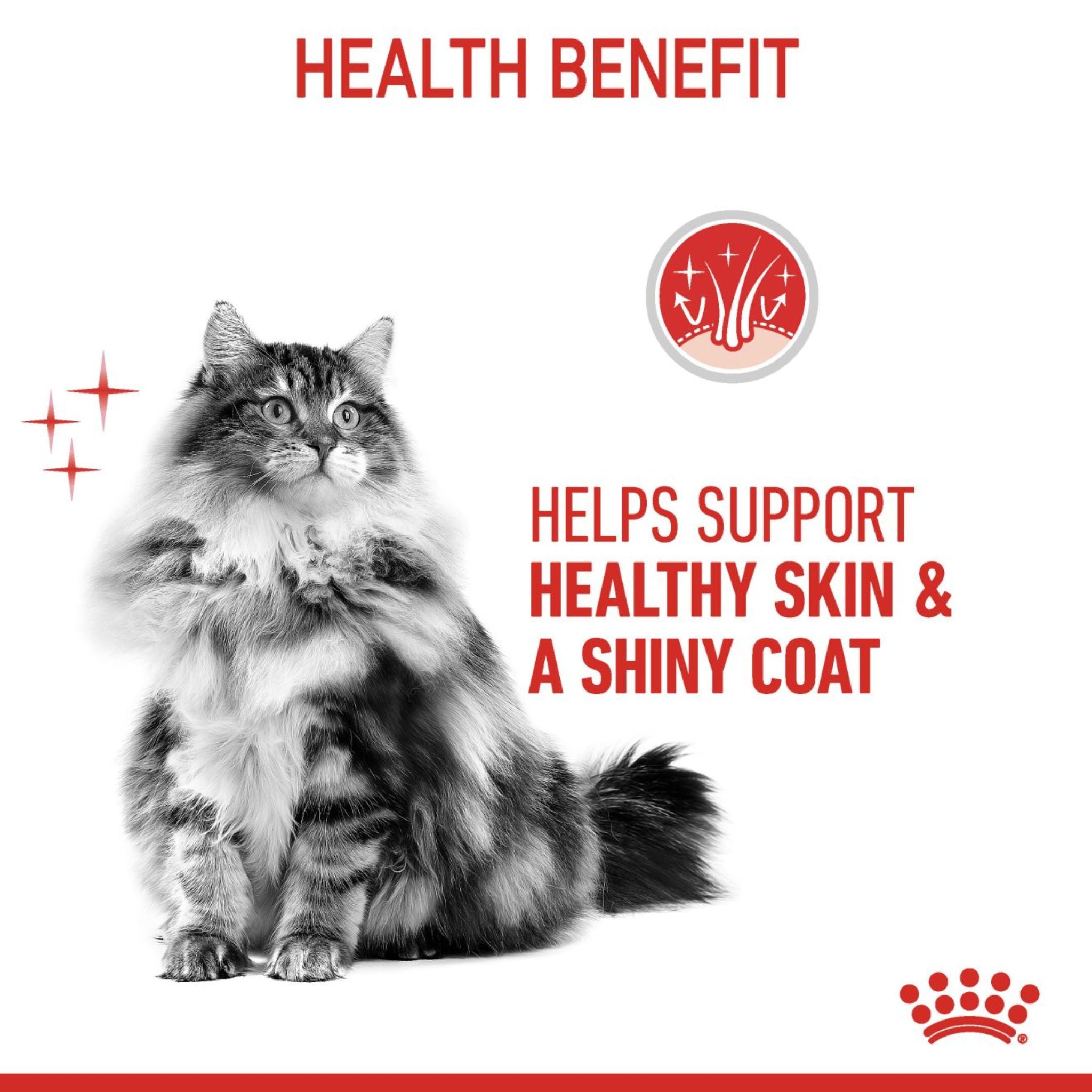 Royal Canin Wet Cat Food Hair & Skin Care Jelly