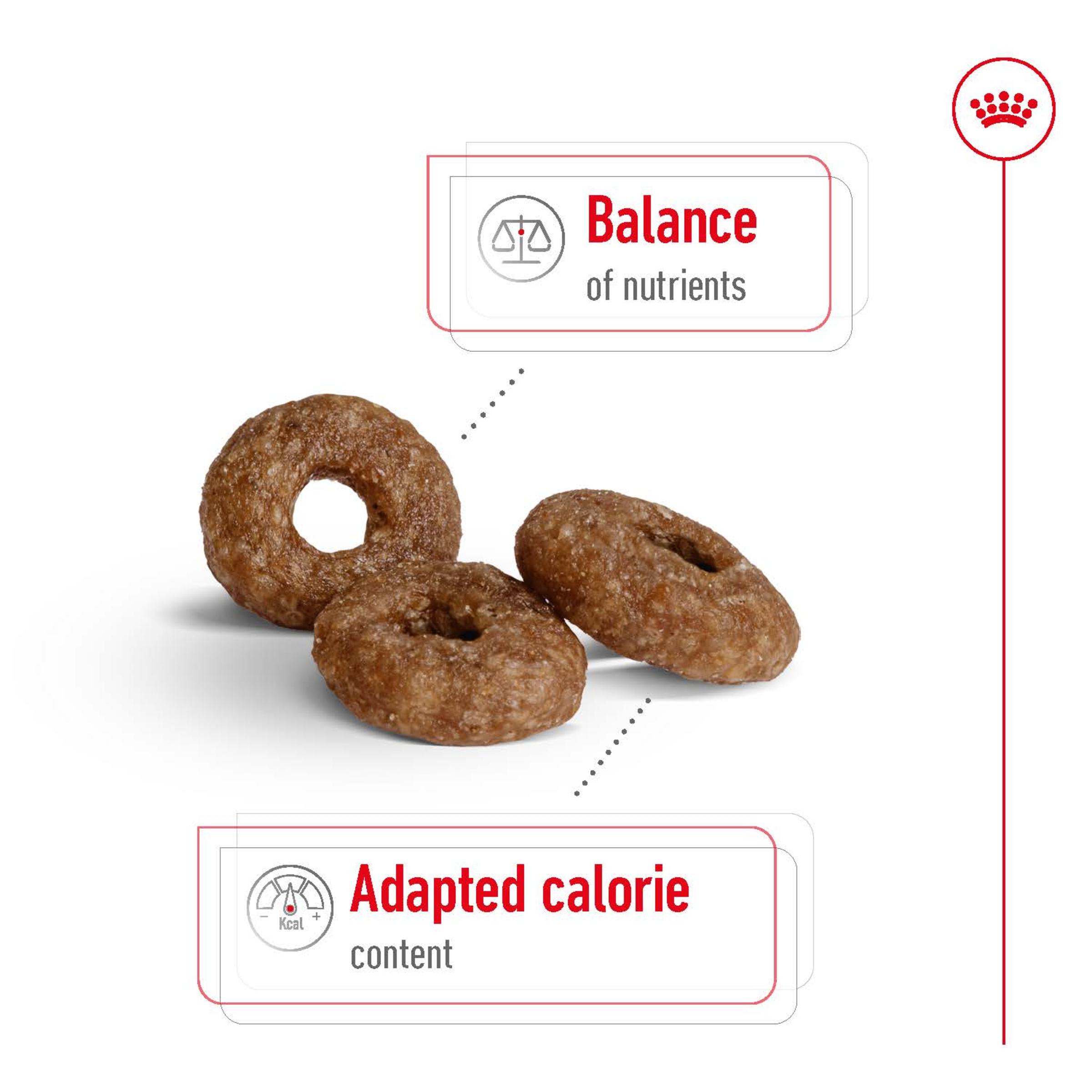 Royal Canin Mini Ageing 12+ product detail 3
