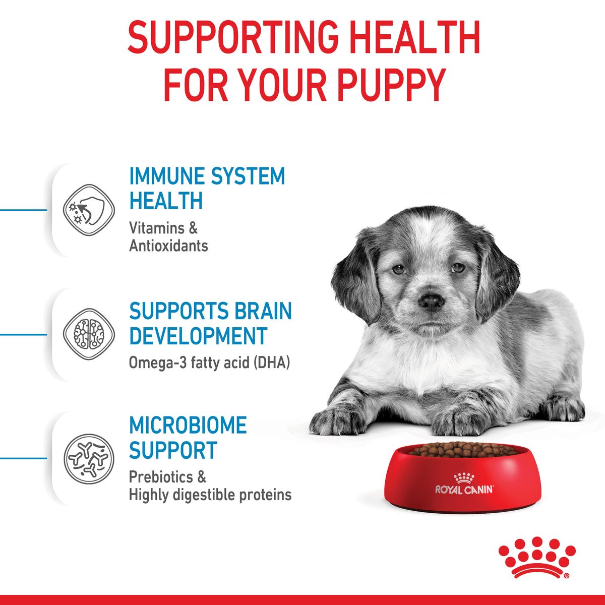Royal Canin Medium Puppy health support: immune health, brain development, microbiome support